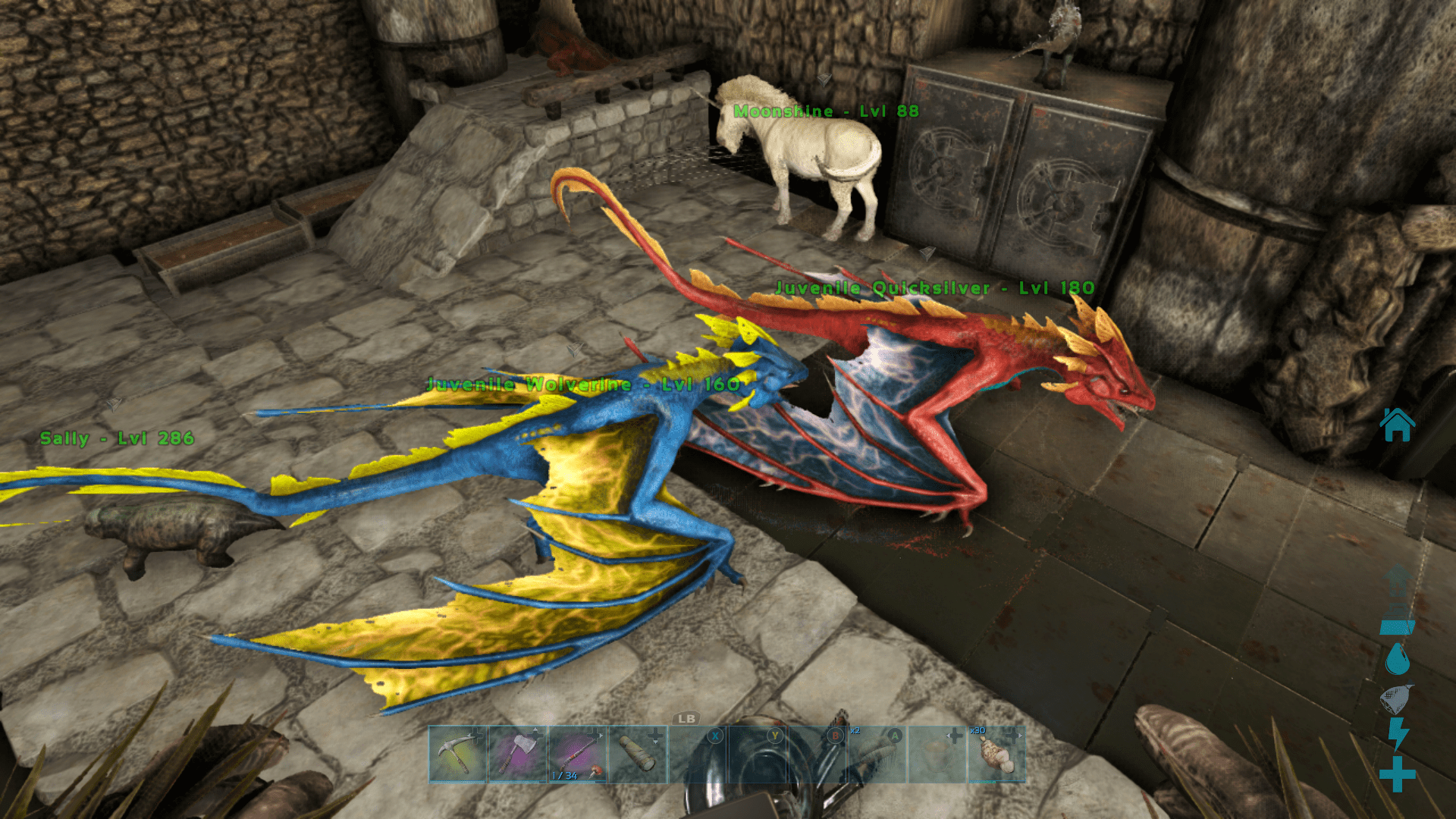 How To Hatch A Wyvern Egg Valguero