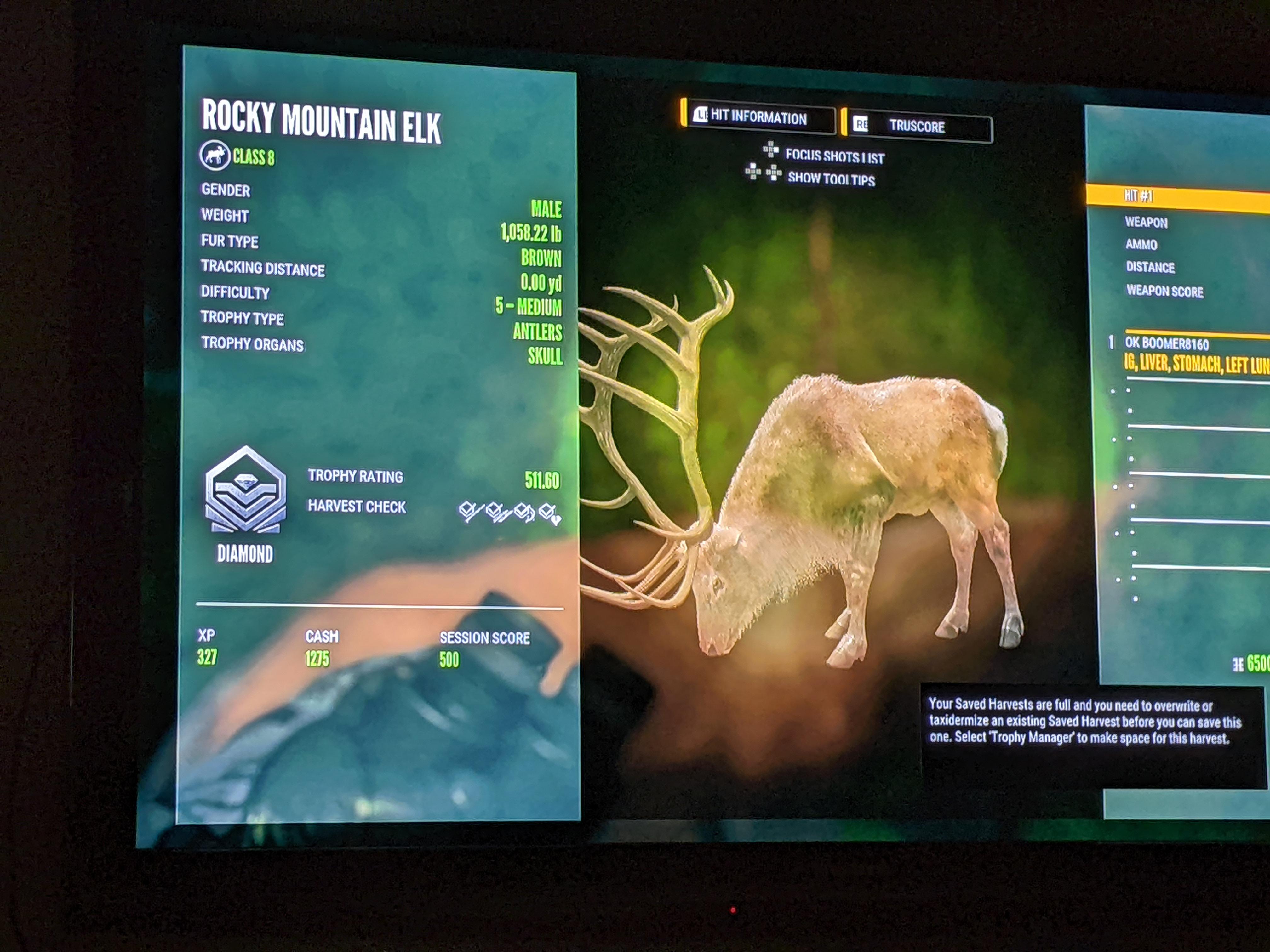 Max weight diamond Rocky Mountain Elk r/callofthewild