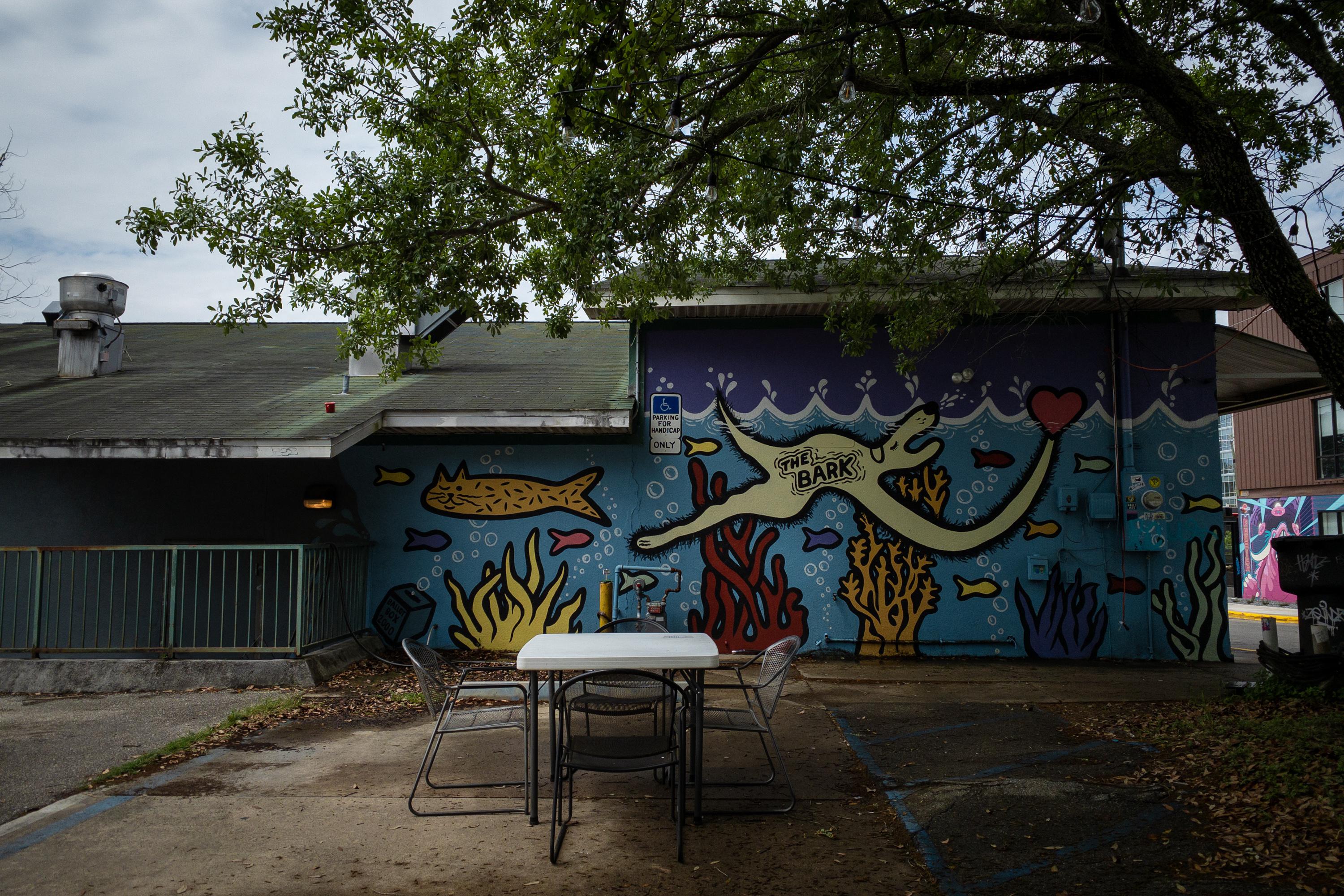 Car detailing Tallahassee