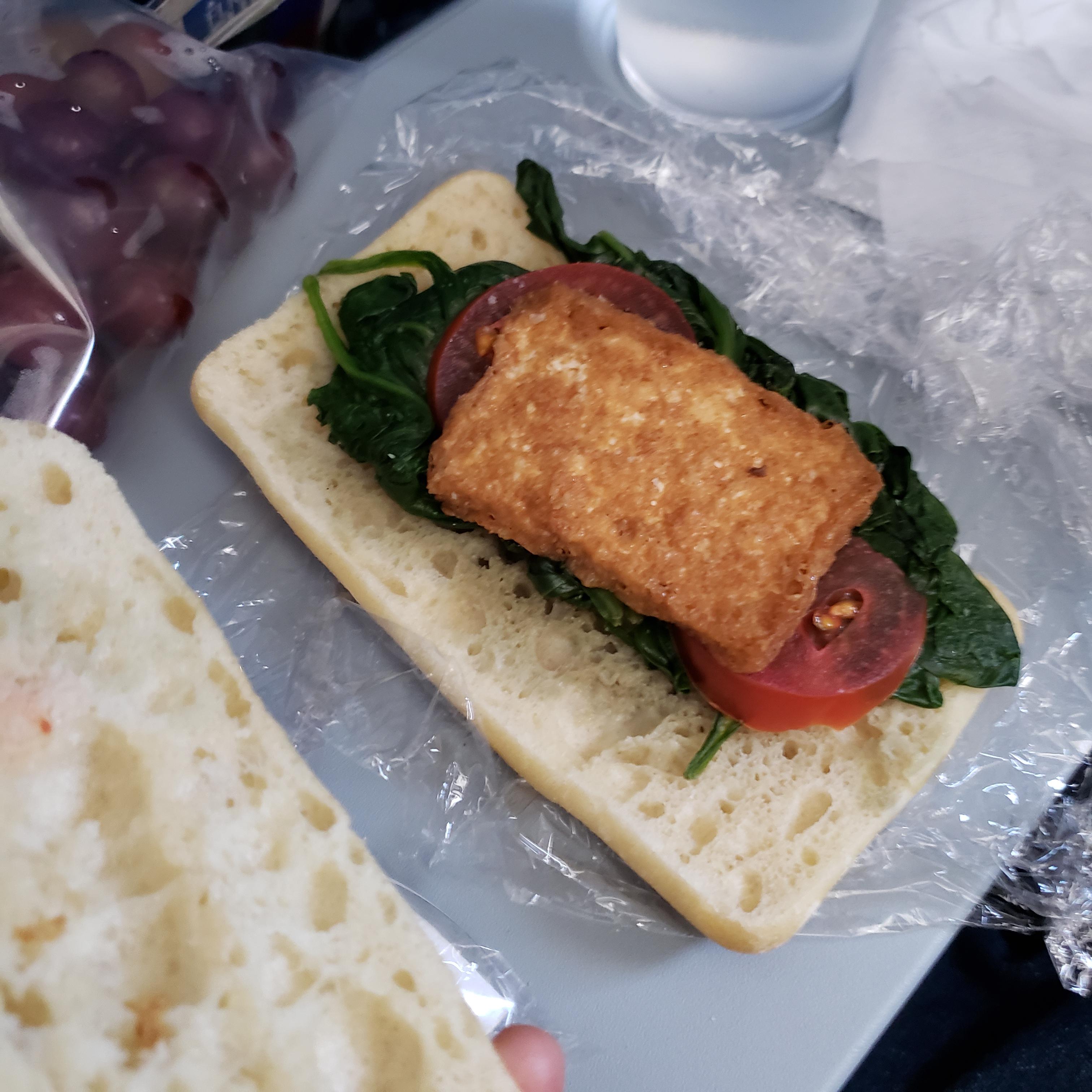 I appreciate the vegan meal Delta... but come on... r/vegan
