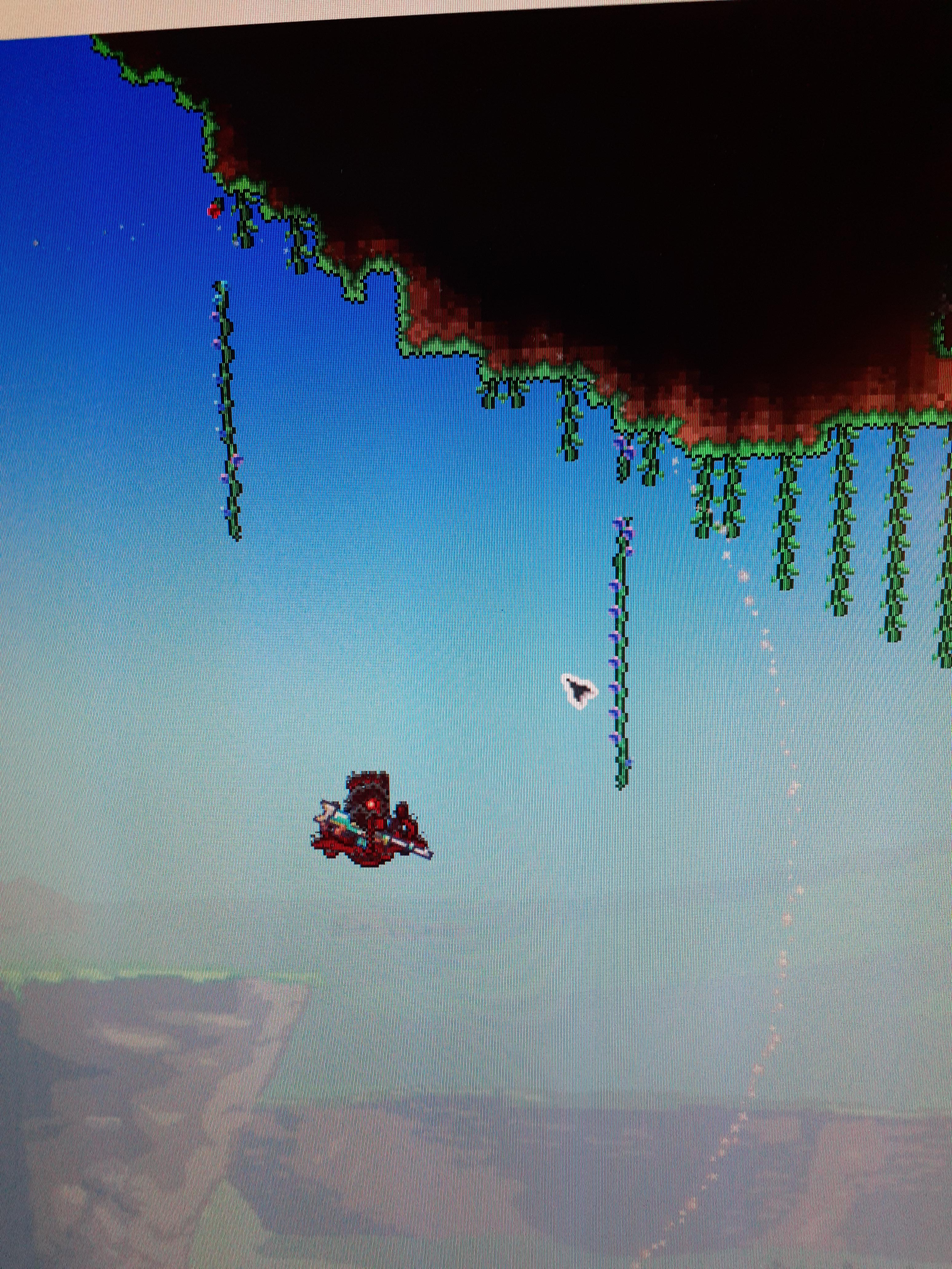 These vines would not break. r/Terraria