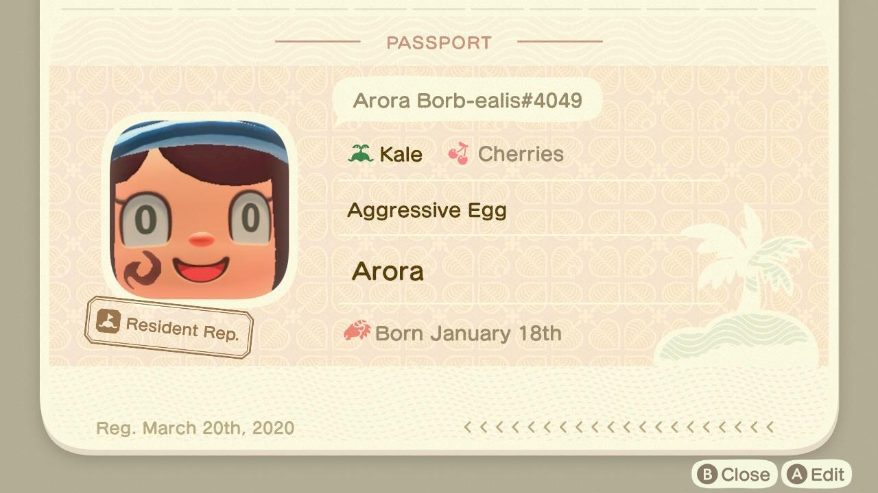 Like my passport? r/AnimalCrossing