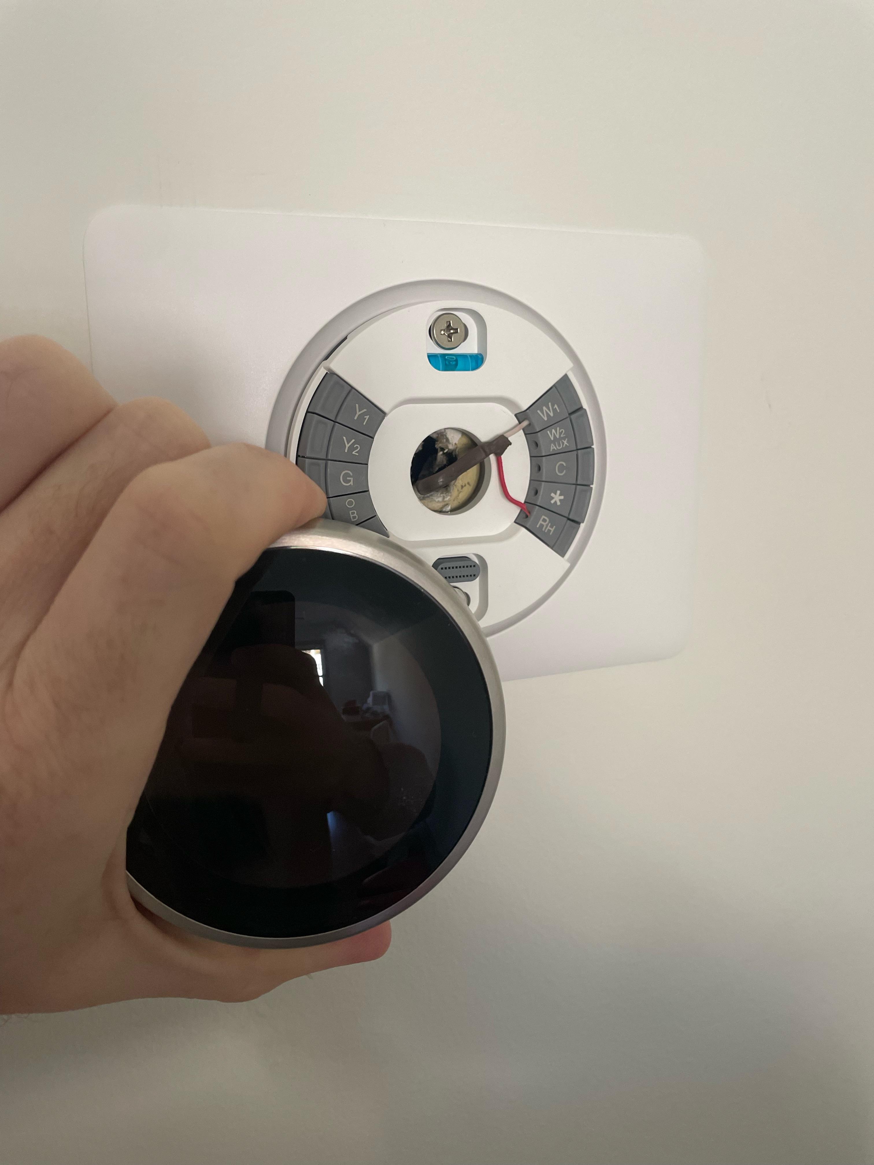 2 wire baseboard thermostat r/Nest