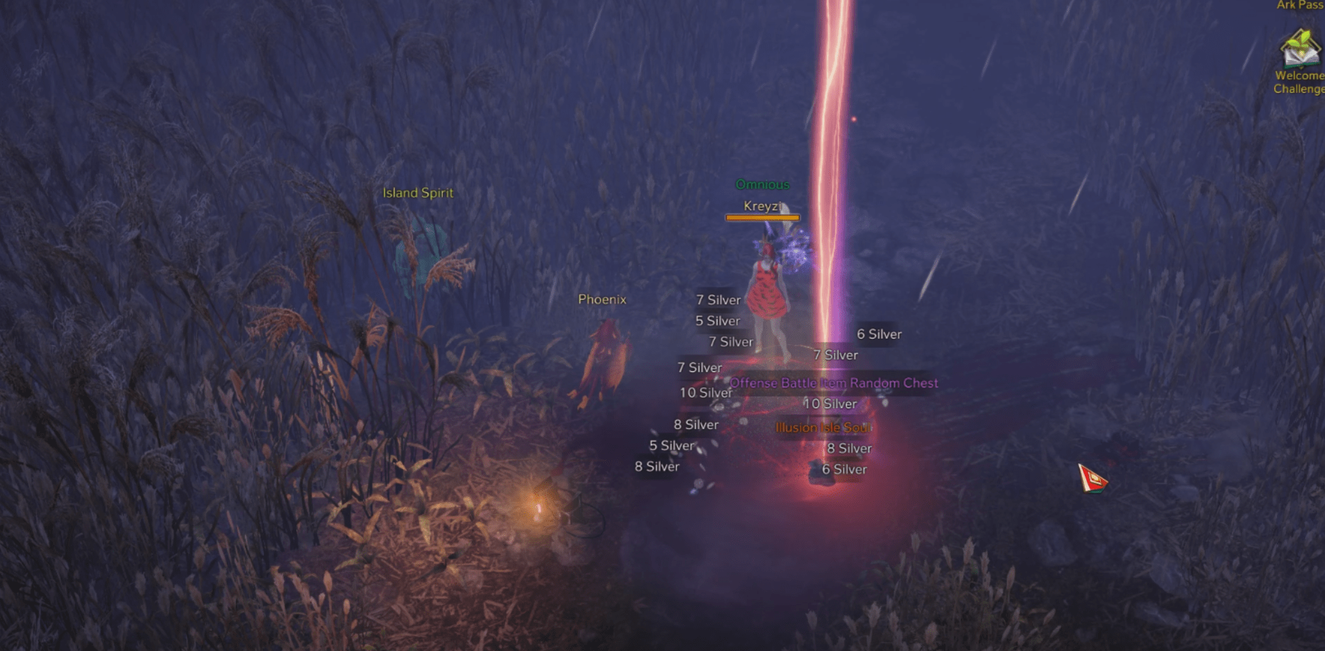 illusion's isle soul dropped from the chest on the ground r/lostarkgame