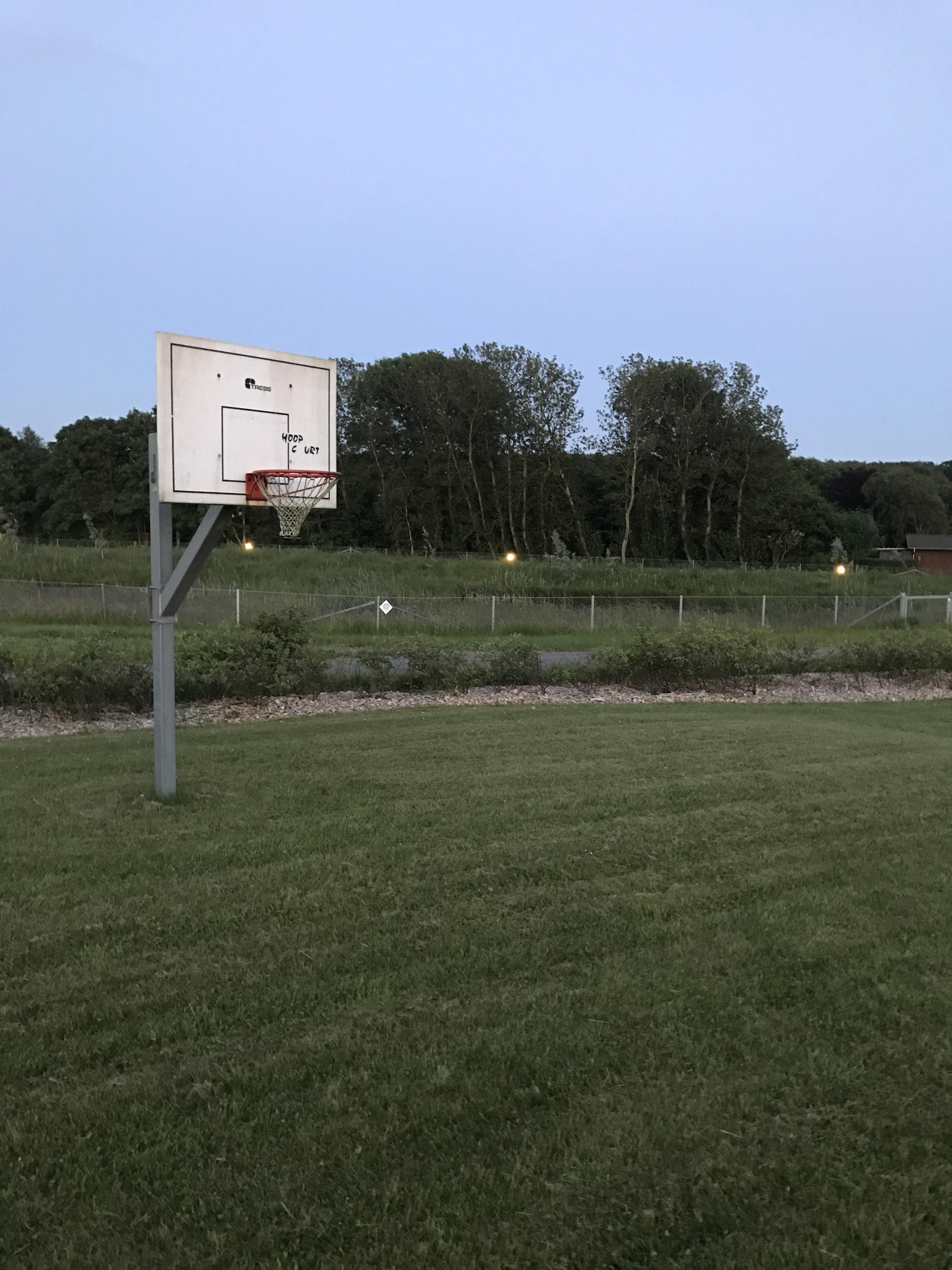 this basketball hoop on a grass field r/mildlyinteresting