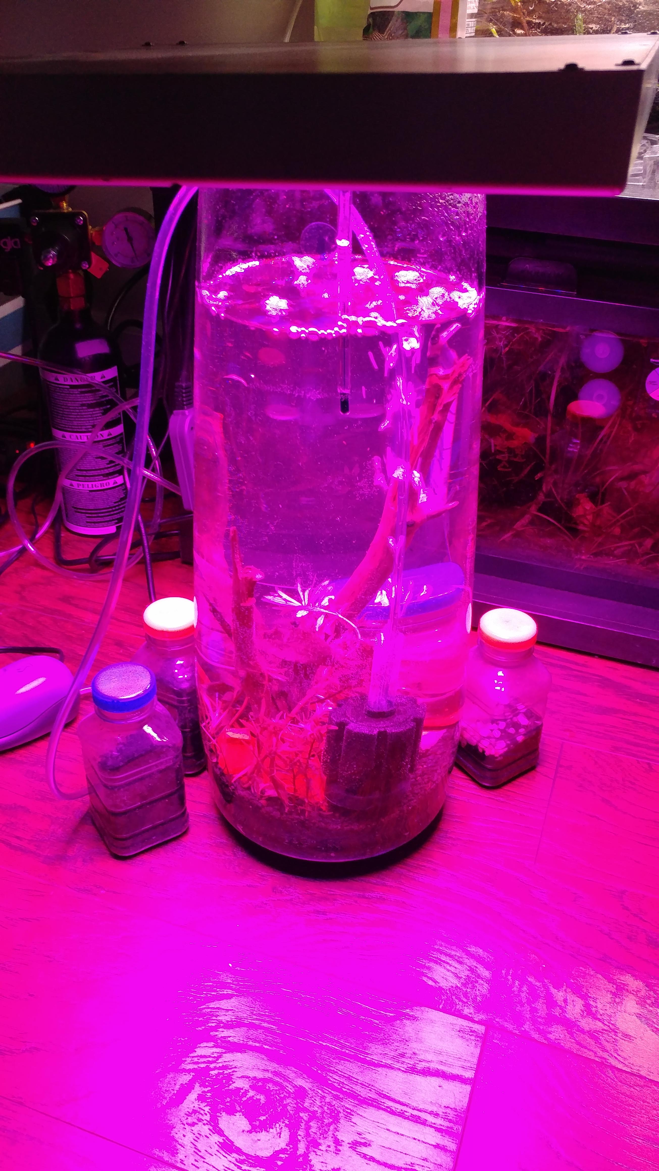 Is this a bad light? PlantedTank