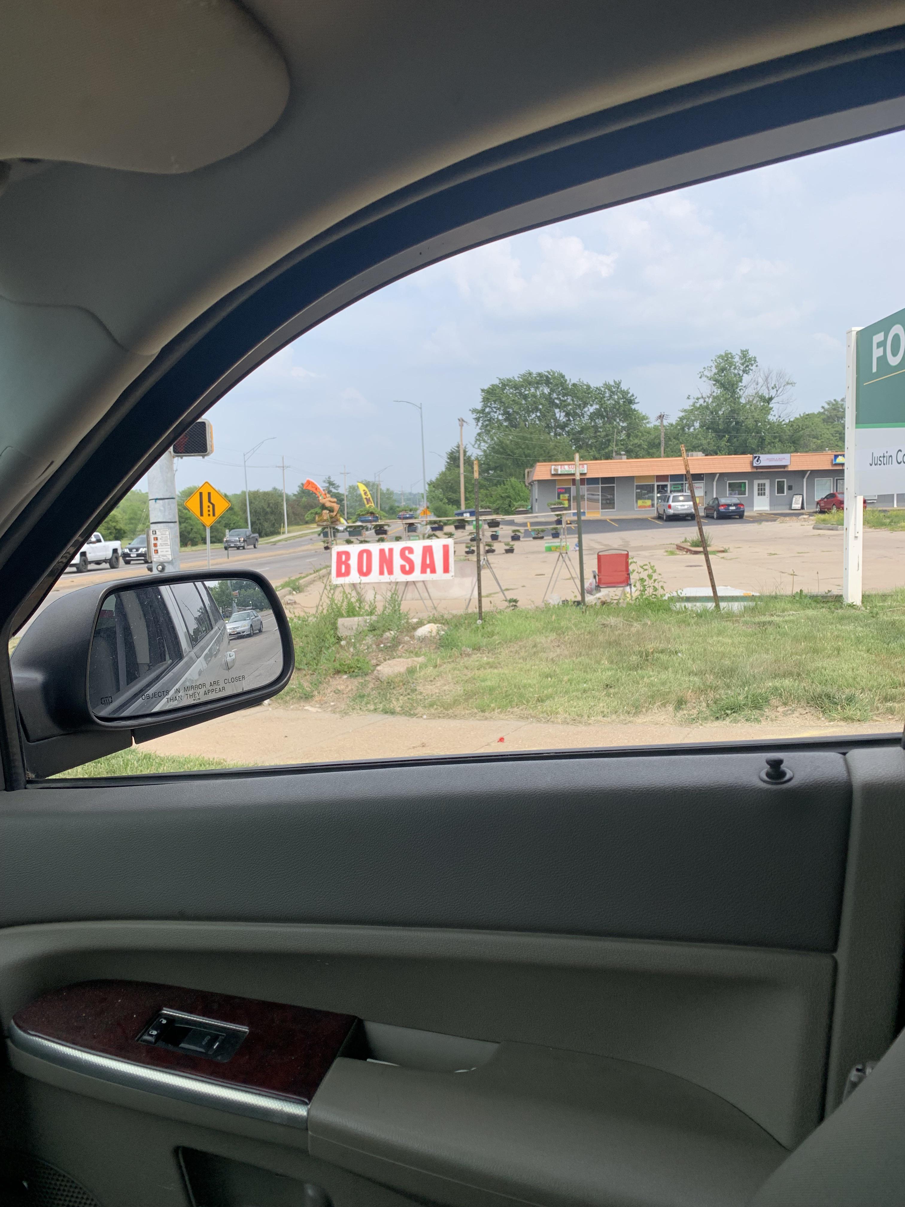 Bonsai guy 72nd and Harrison r/Omaha