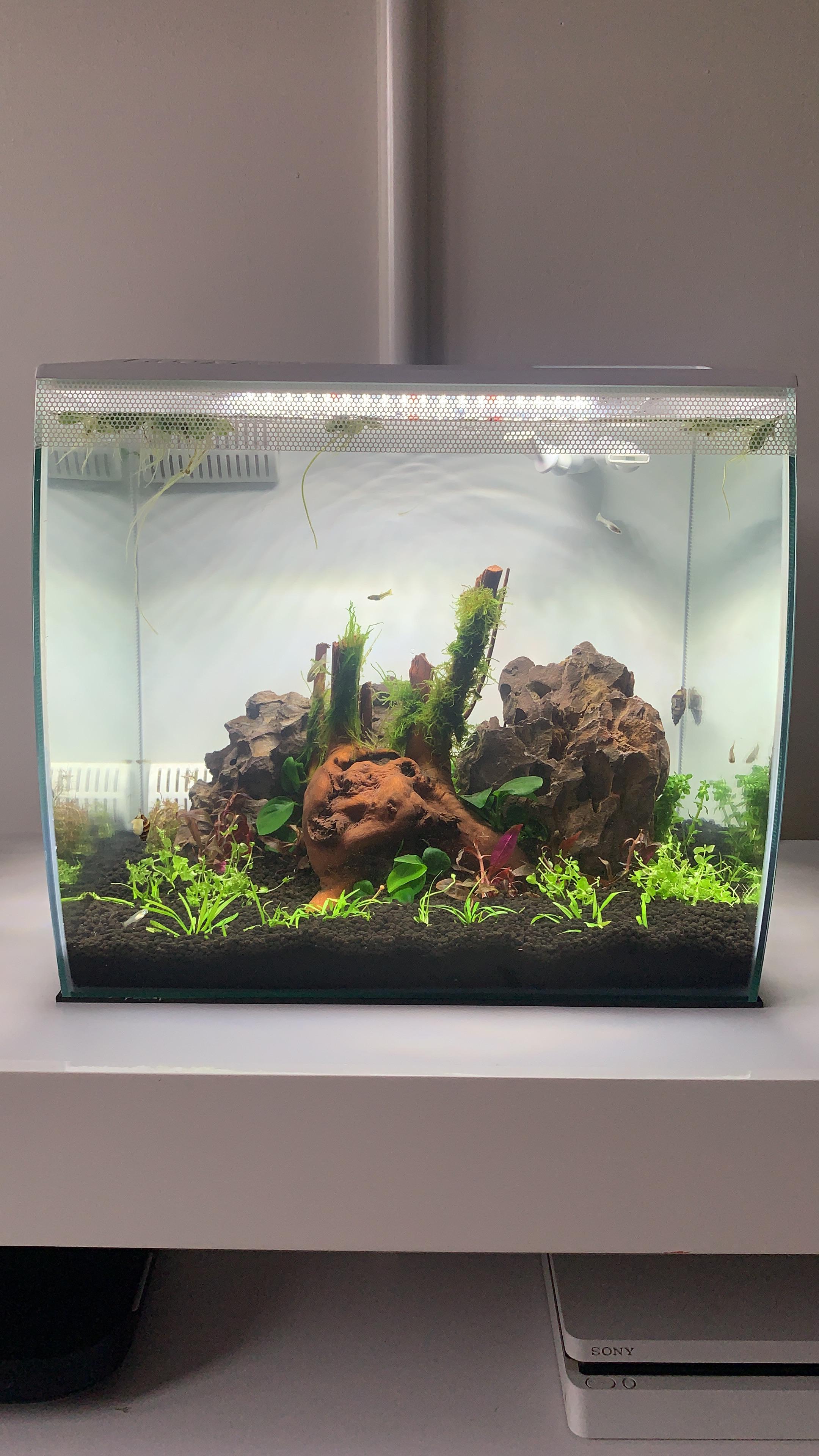 First planted nano tank with co2. r/MD_Fan_Tanks