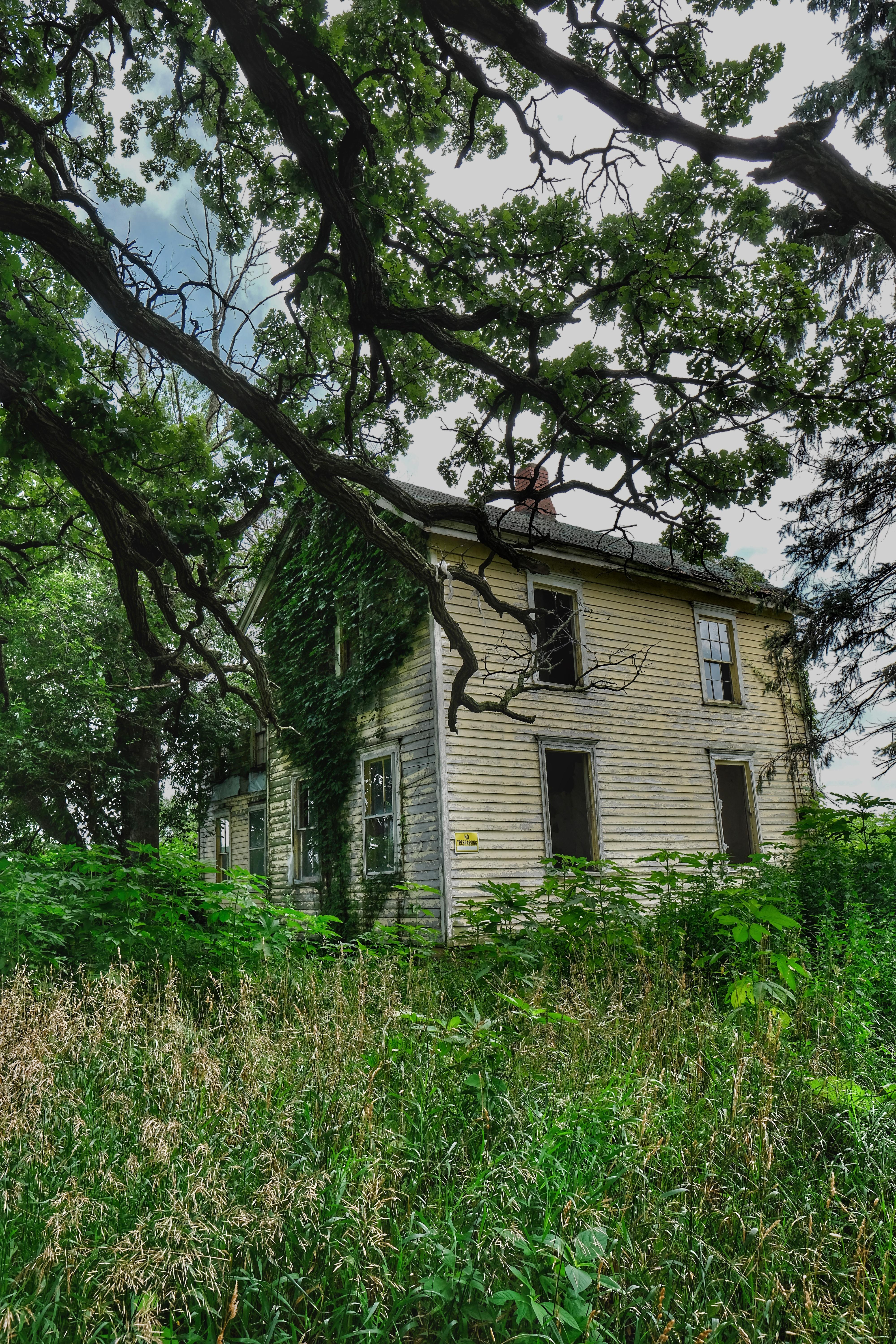 Nature reclaiming a house in the middleofnowhere Illinois [4000×6000