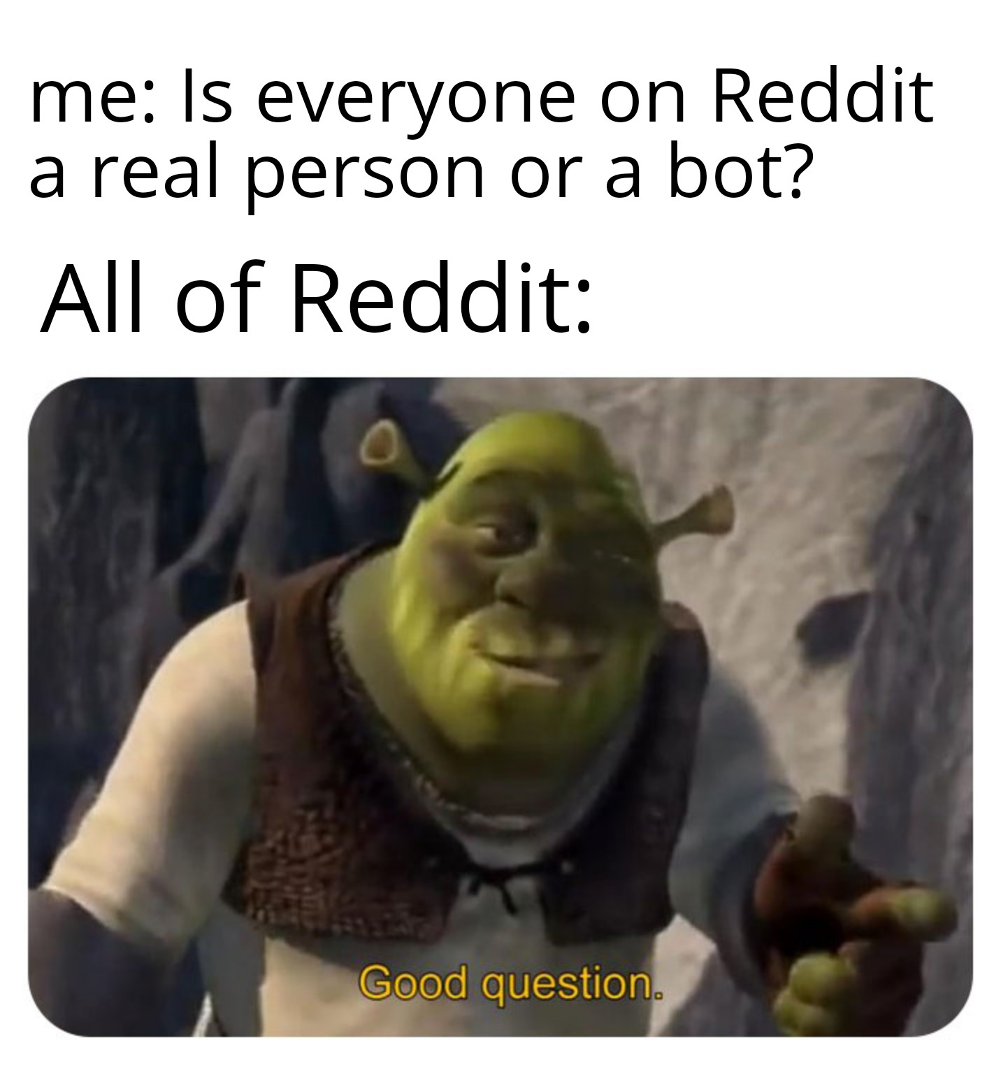 I am a bot beep boop memes
