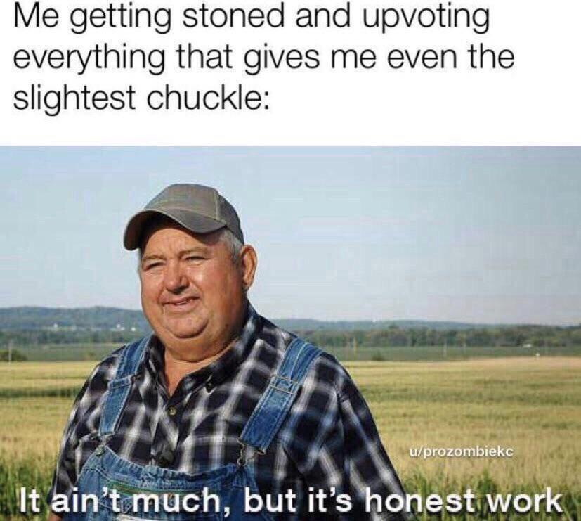 This is me everyday on Reddit FLMedicalTrees