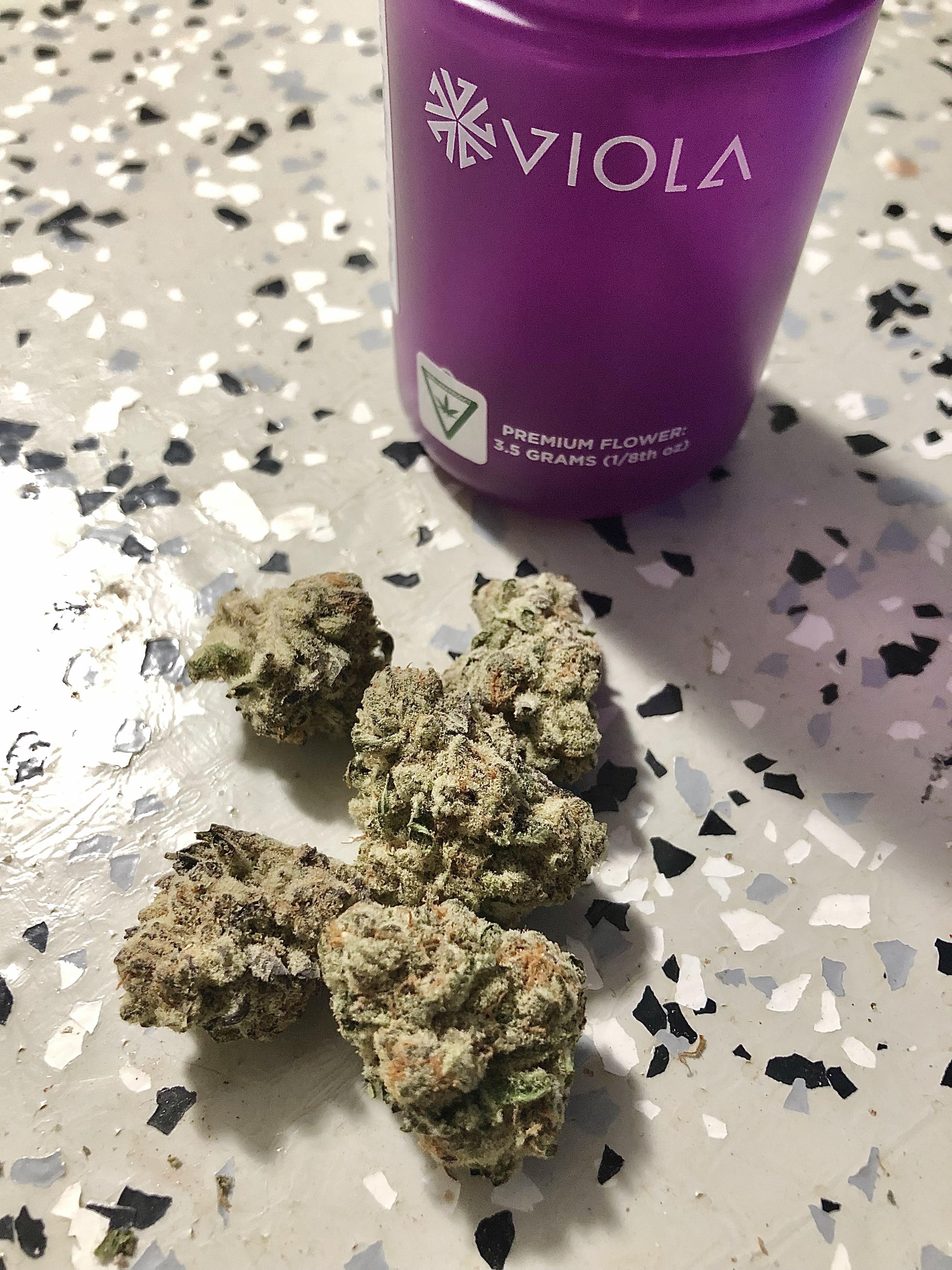 Purple Punch / Viola Detroit r/nugs