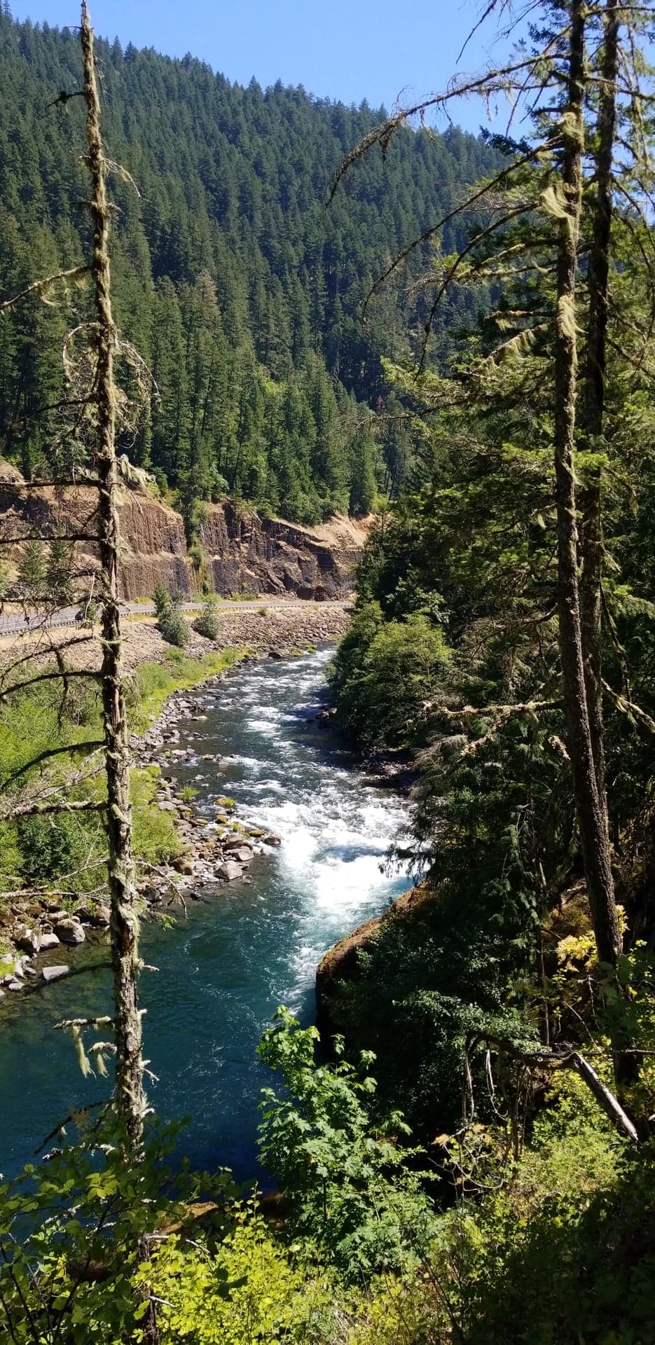Mt Hood, Oregon r/hiking