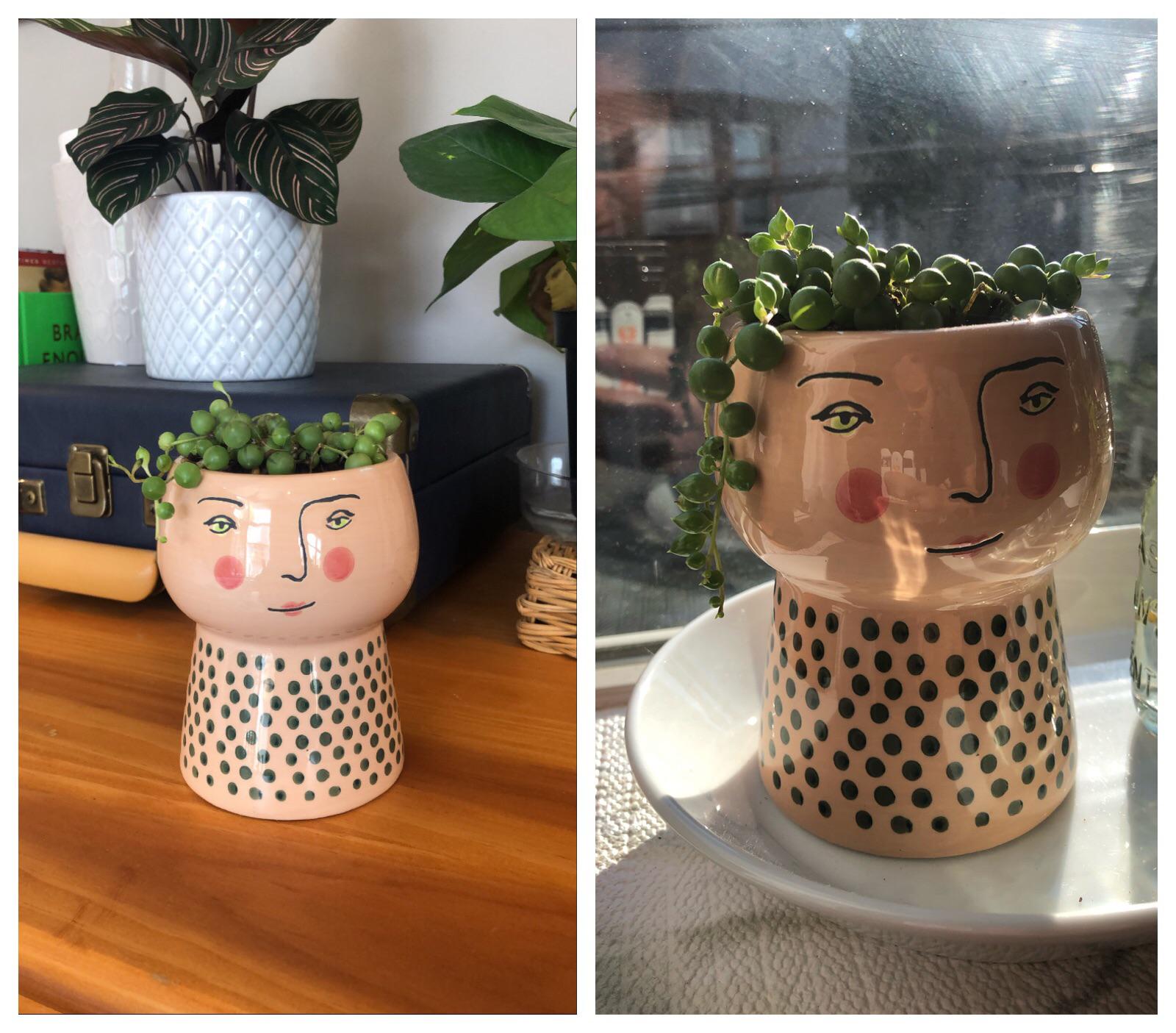 two weeks of hair growth! r/houseplants