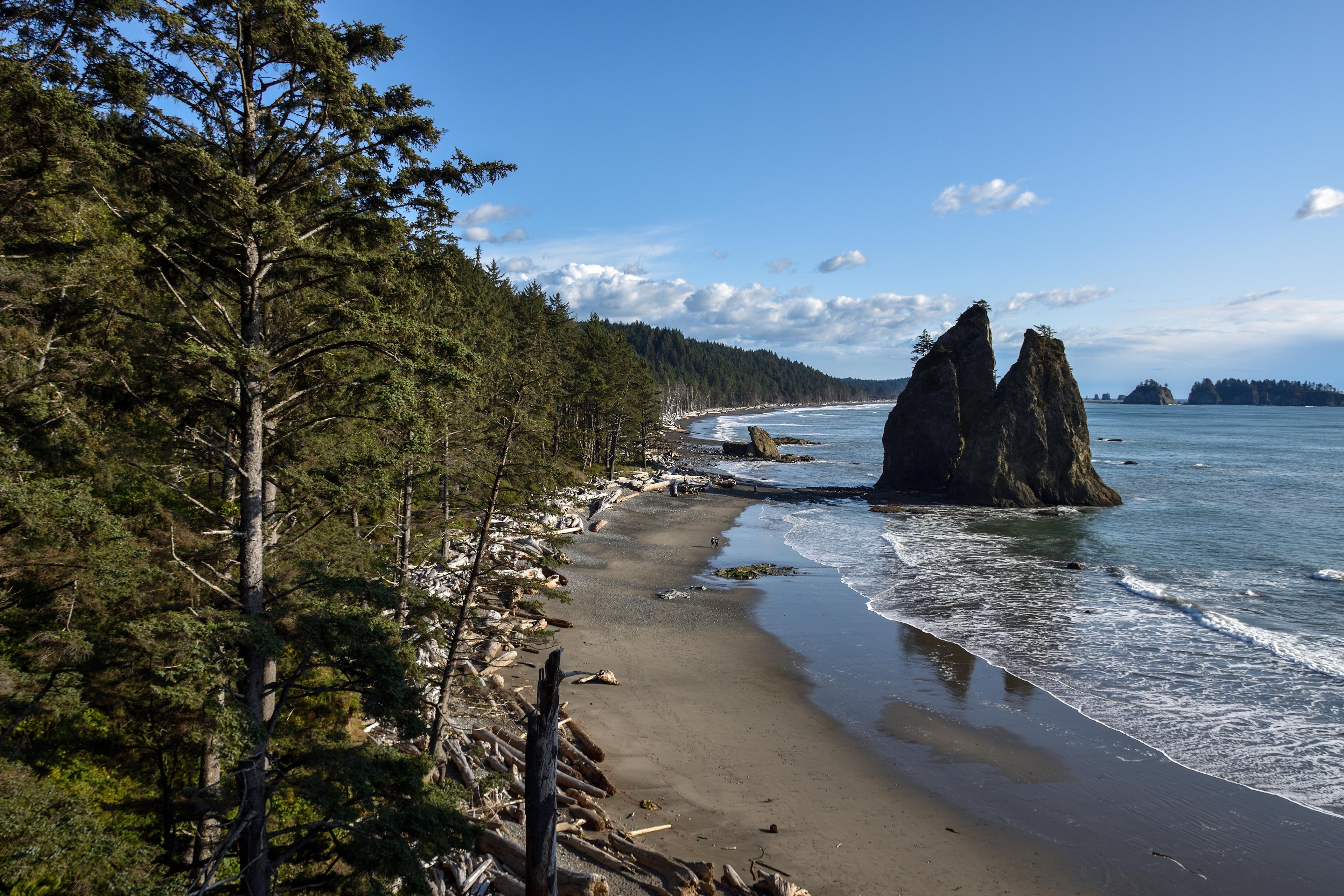 Rialto Beach, Washington State [OC] [3840x2560] r/Beachporn