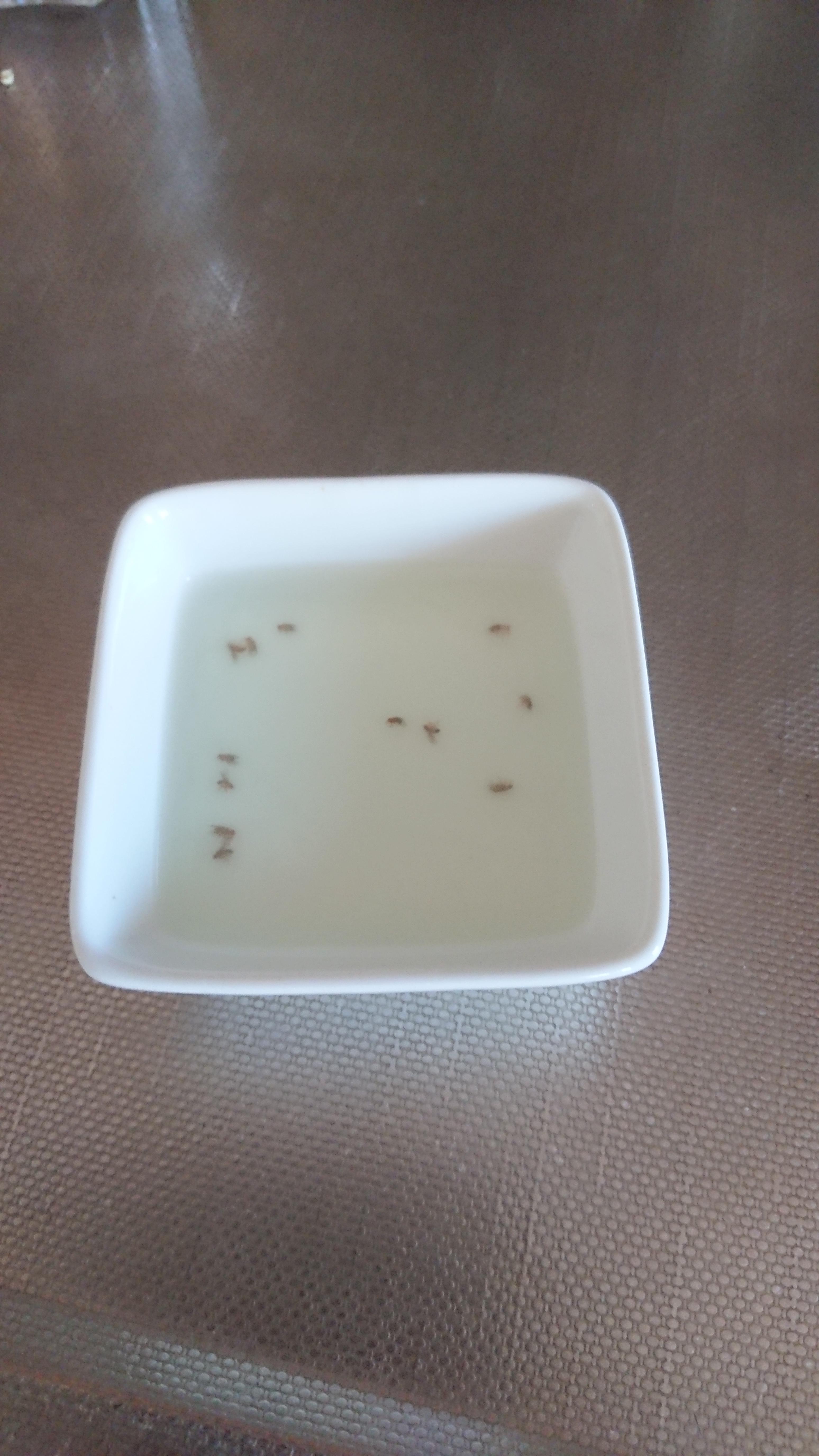 Mix any kind of vinegar with dish soap to attract and kill banana flies