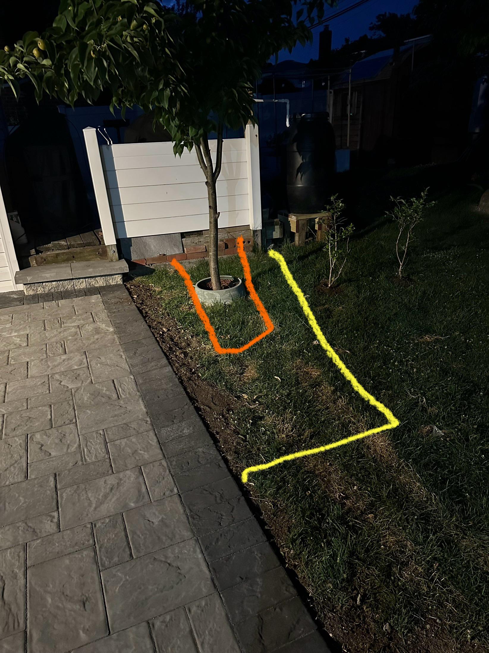 How much room does a tree need. r/gardening