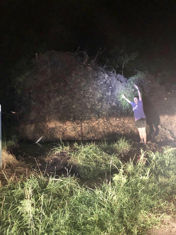 Tree uprooted during storm in Hulbert, OK last night. My stepmom sent