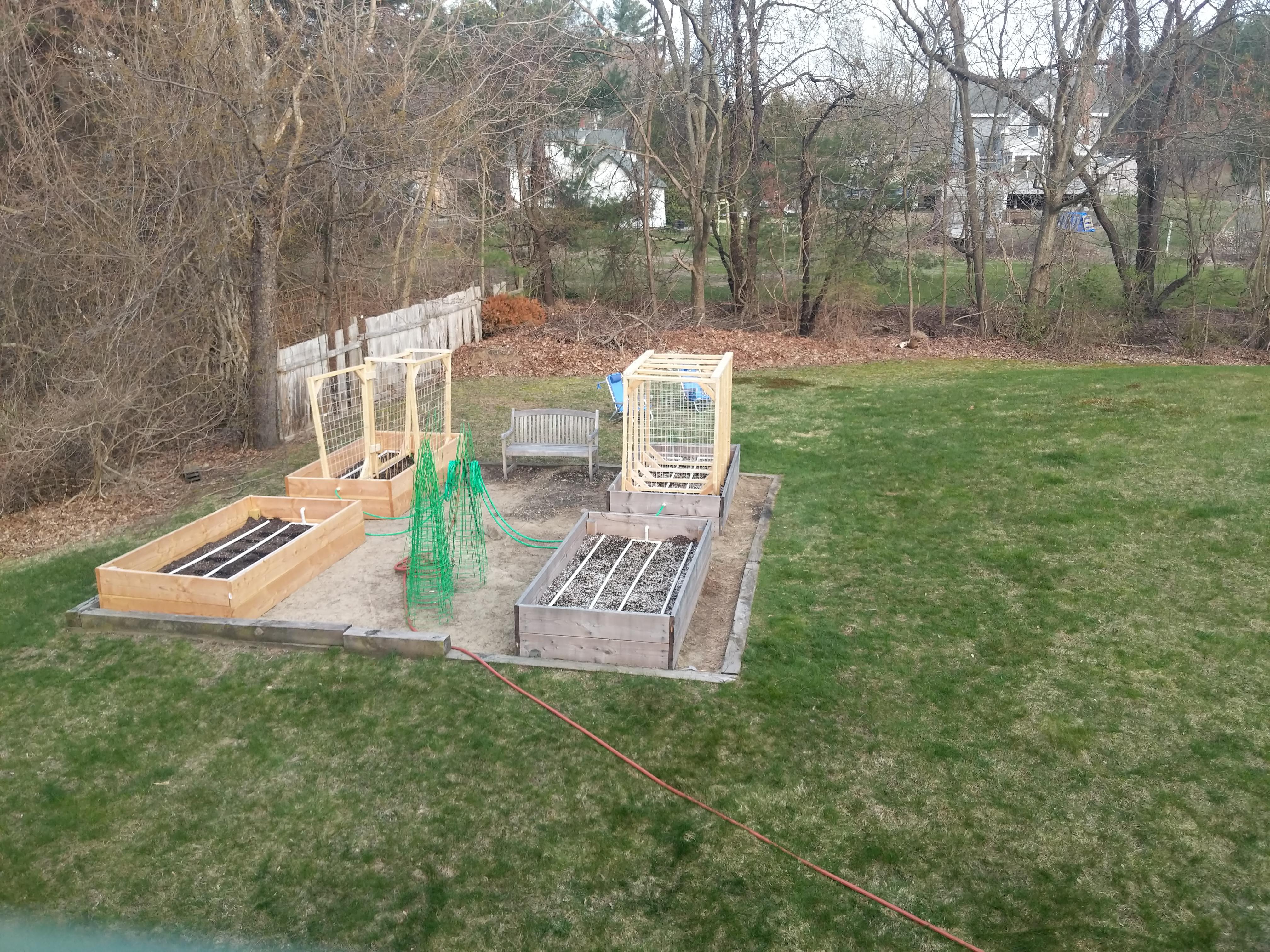 Raised beds, trellises, irrigation. Without the quarantine, I'd never