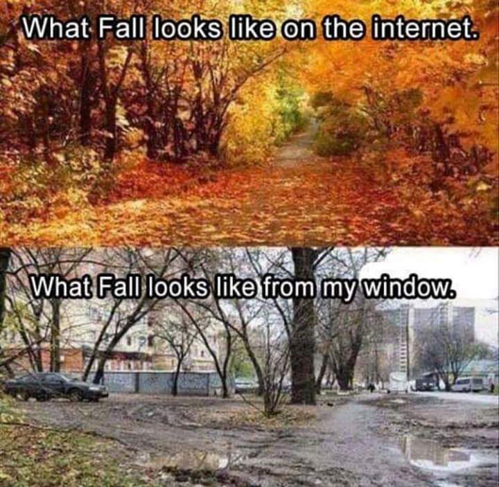 Since posting photos of rural Pennsylvania was so hot for a minute