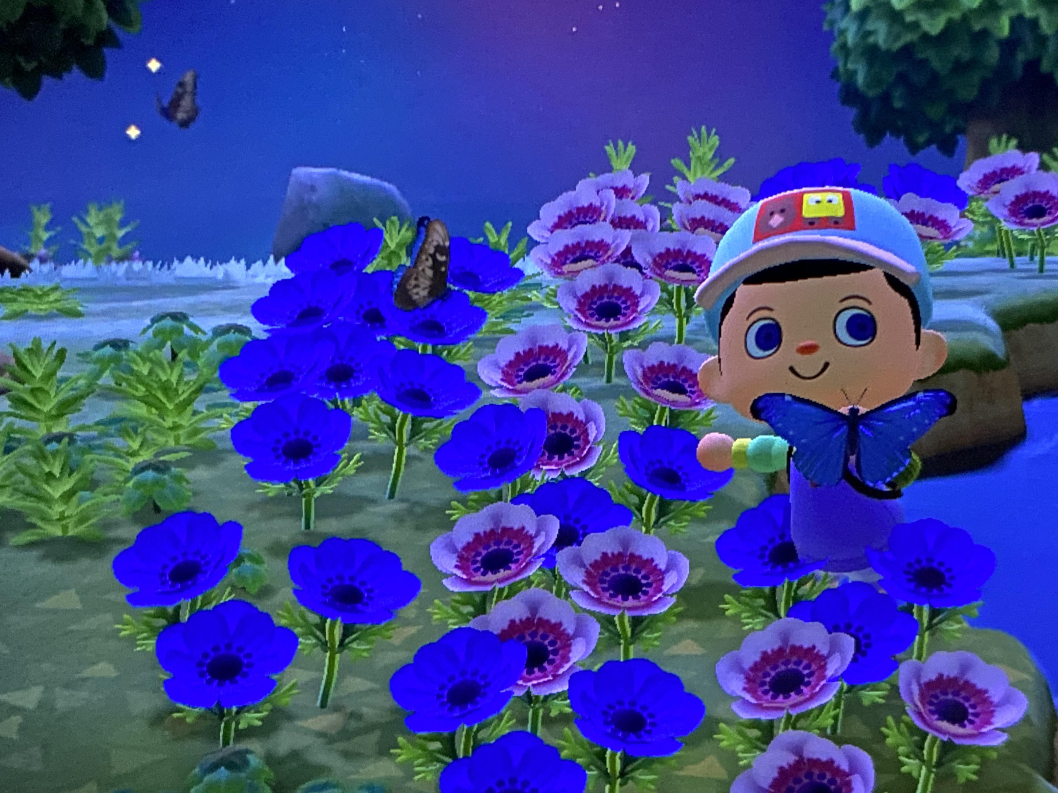 First time playing an Animal Crossing game and I just found an island