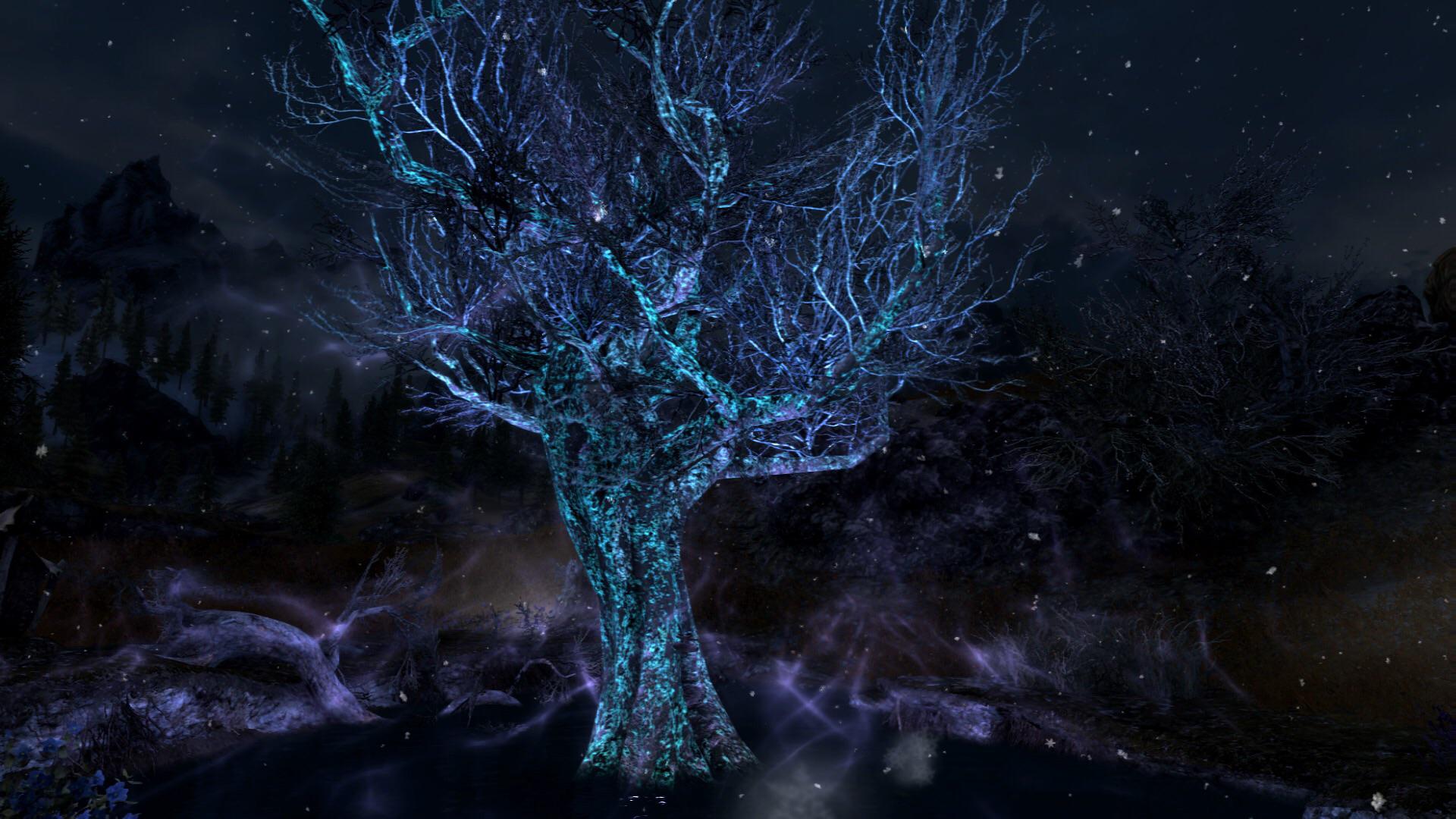 One of my favorite spots in the game r/skyrim