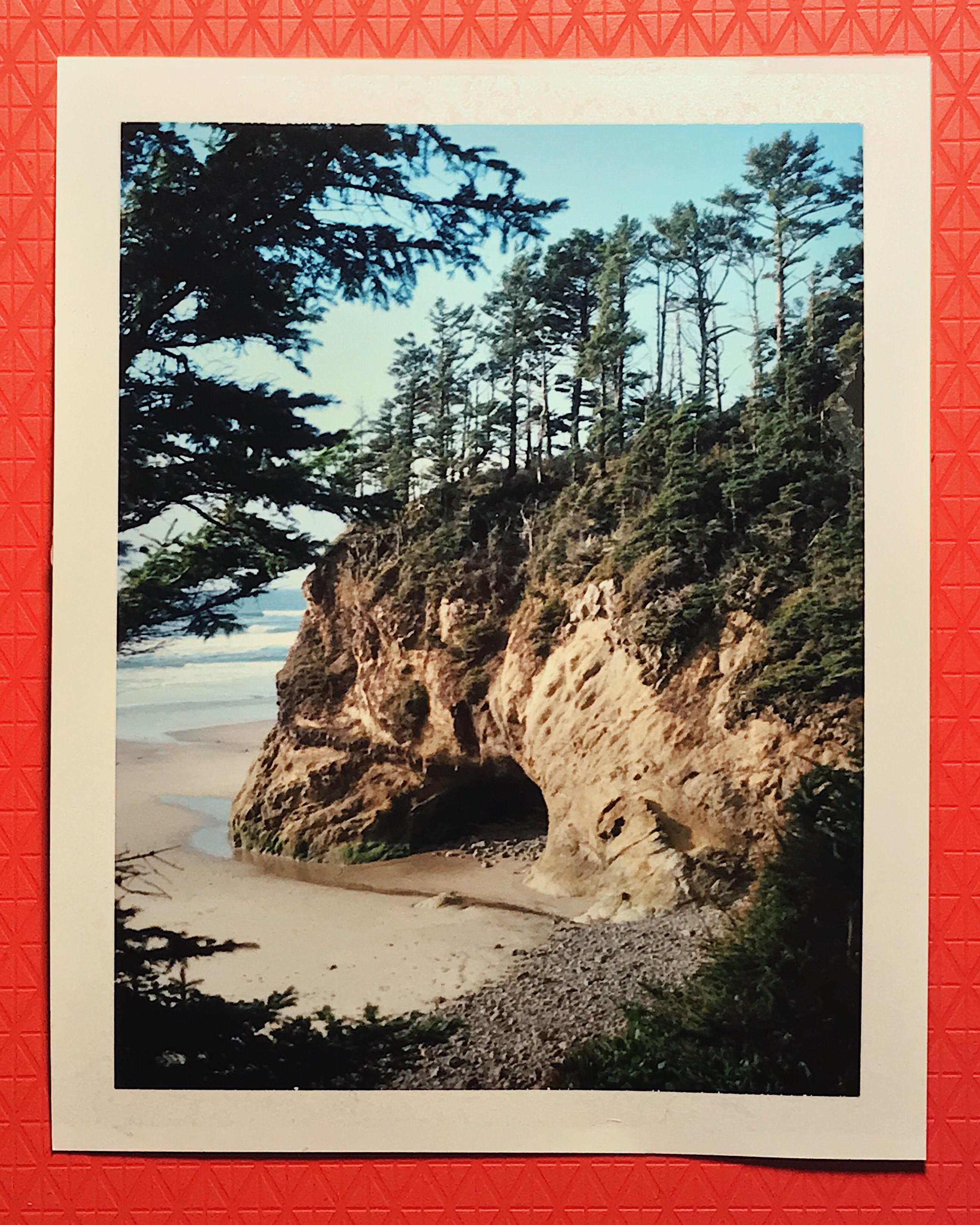 Hug Point, Oregon [Polaroid 250 Land Camera FP100c] r/analog