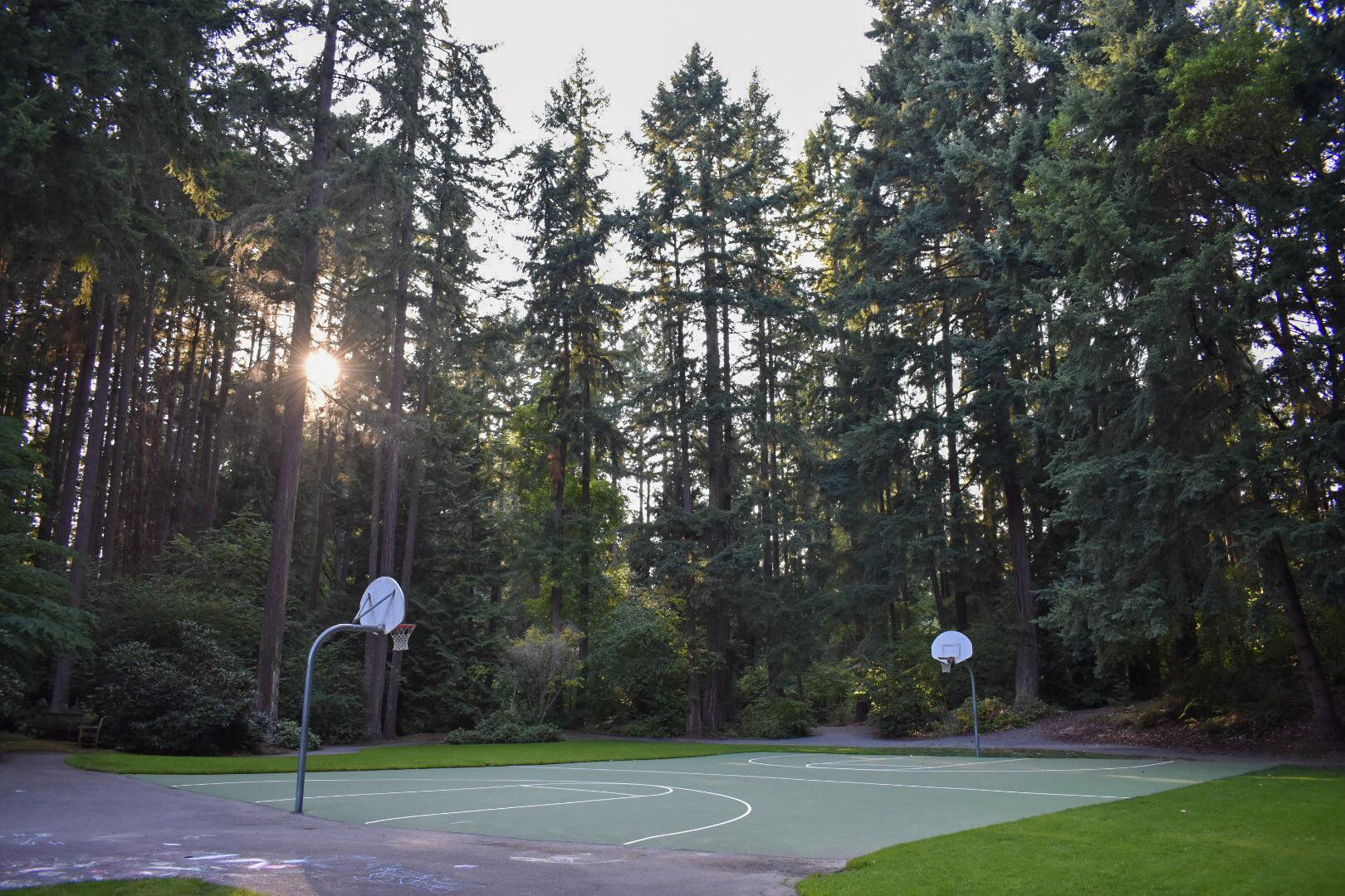 Found the most PNW basketball court. r/Seattle
