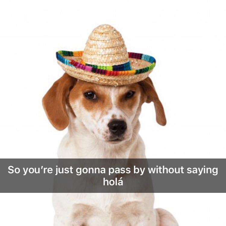 ¿Hola Como estas? memes