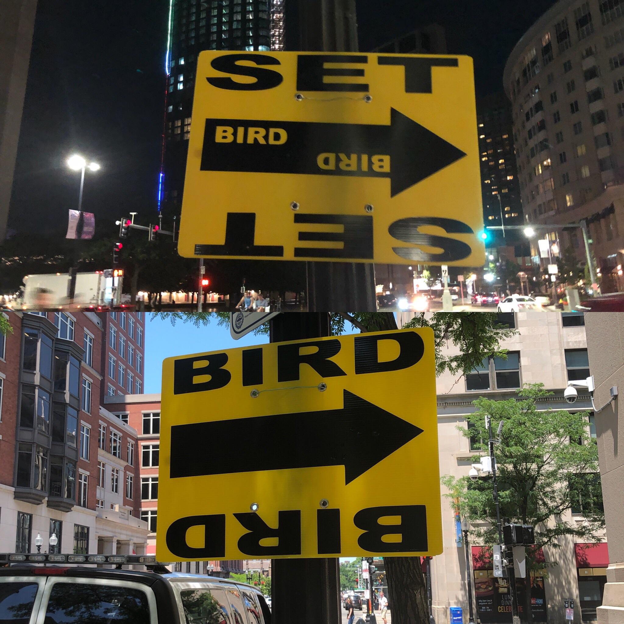 What are these signs around town? r/boston