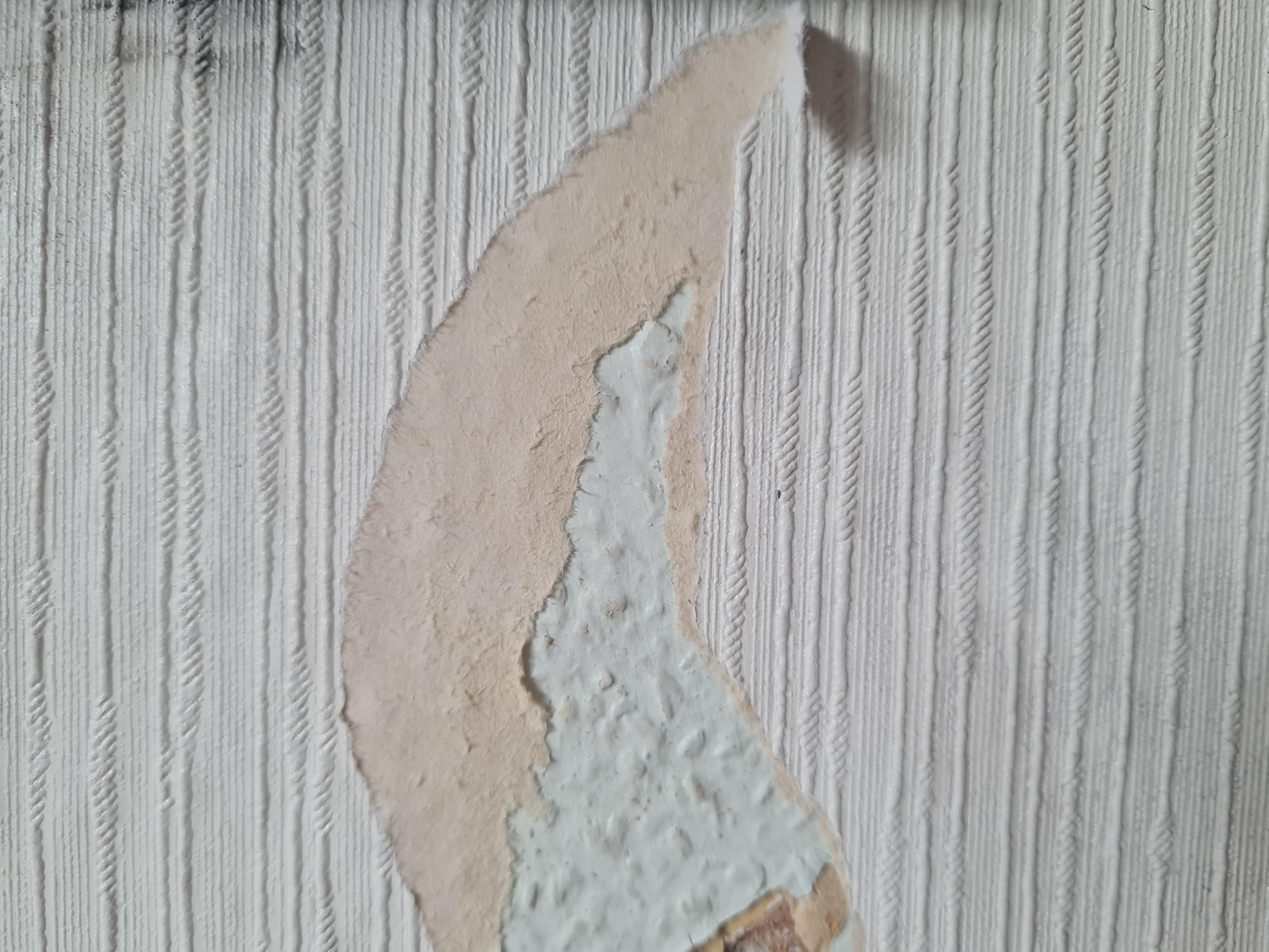 Best way to tackle this? (Wallpaper on top of Woodchip not sure how