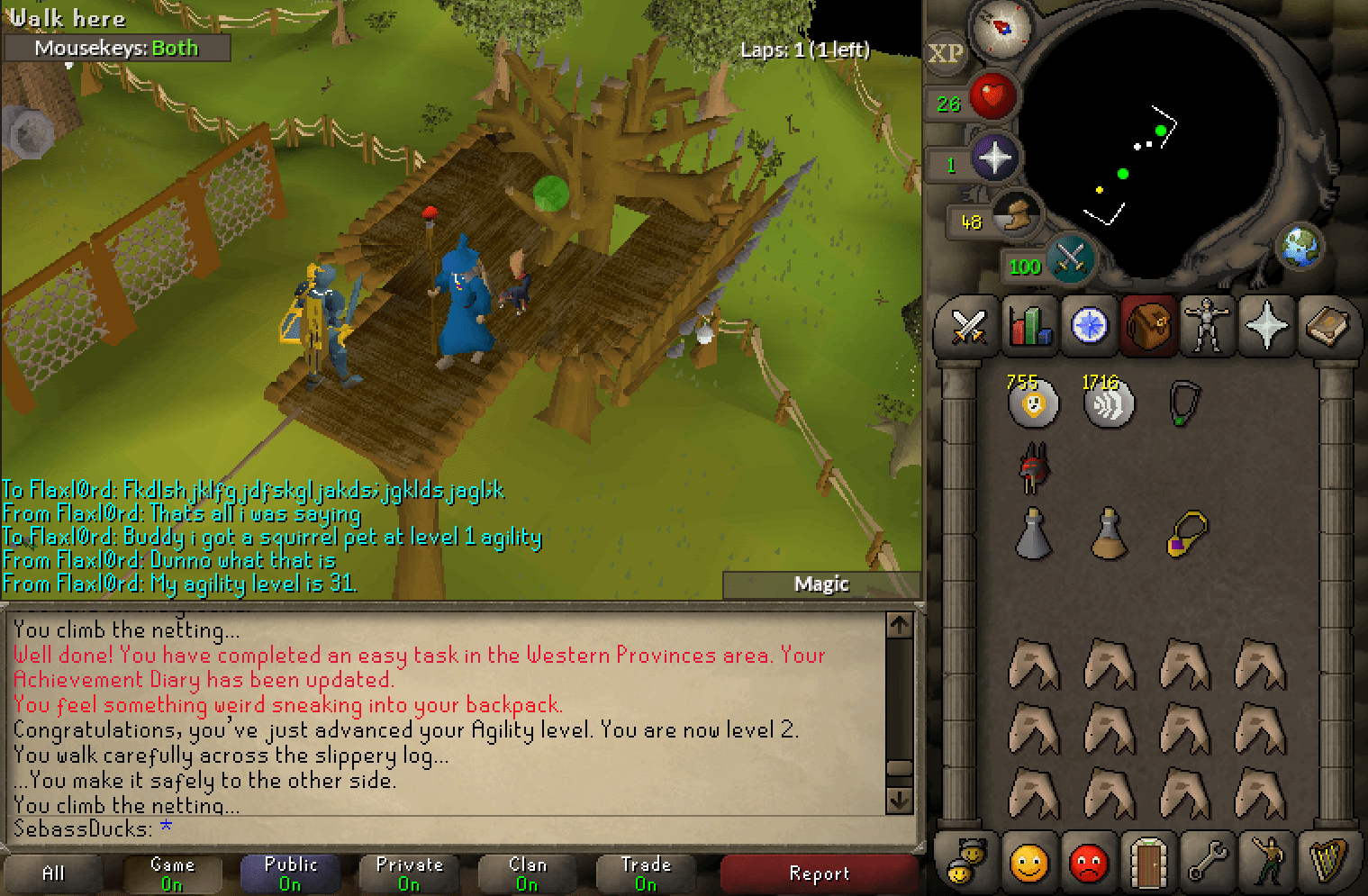 Level 2 Agility Pet r/2007scape