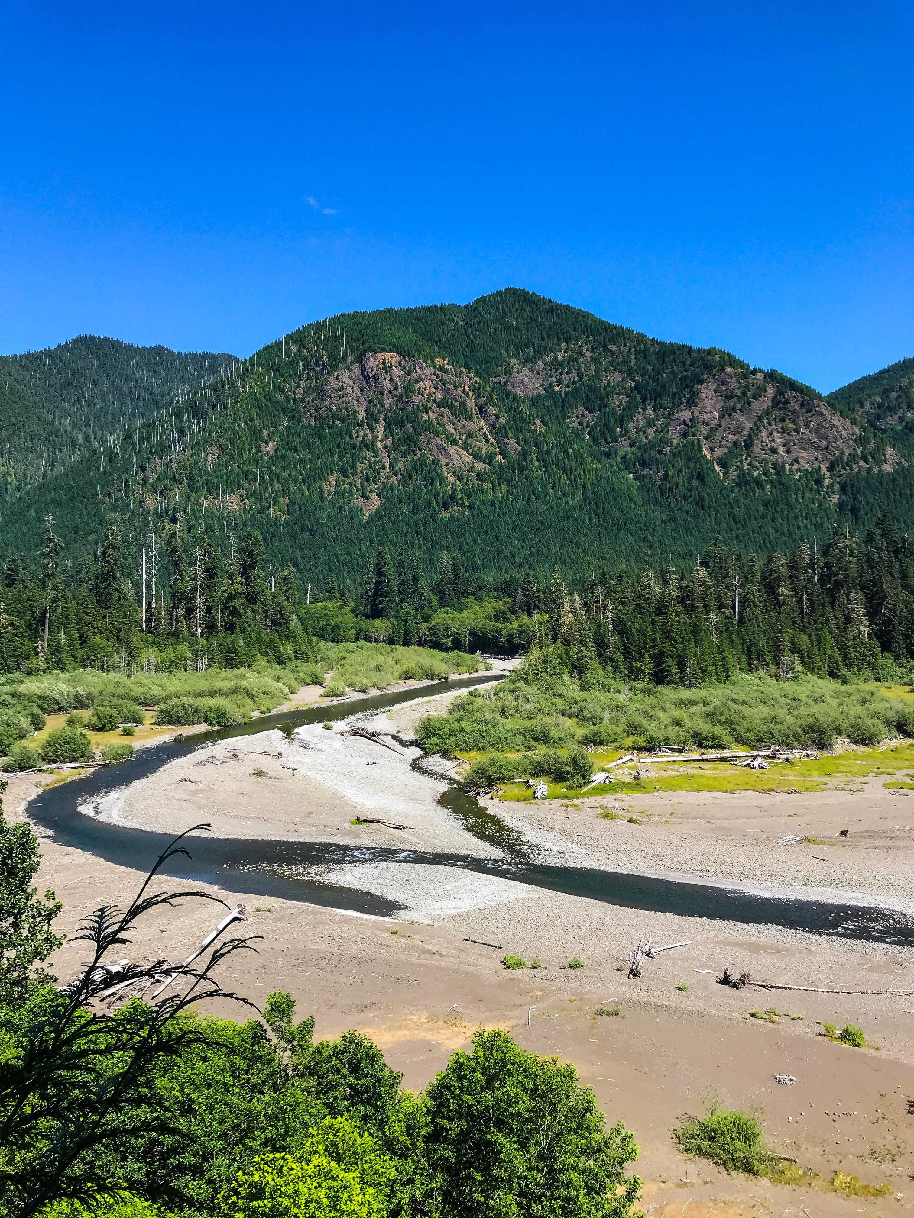 Wynoochee River, Washington r/CampingandHiking