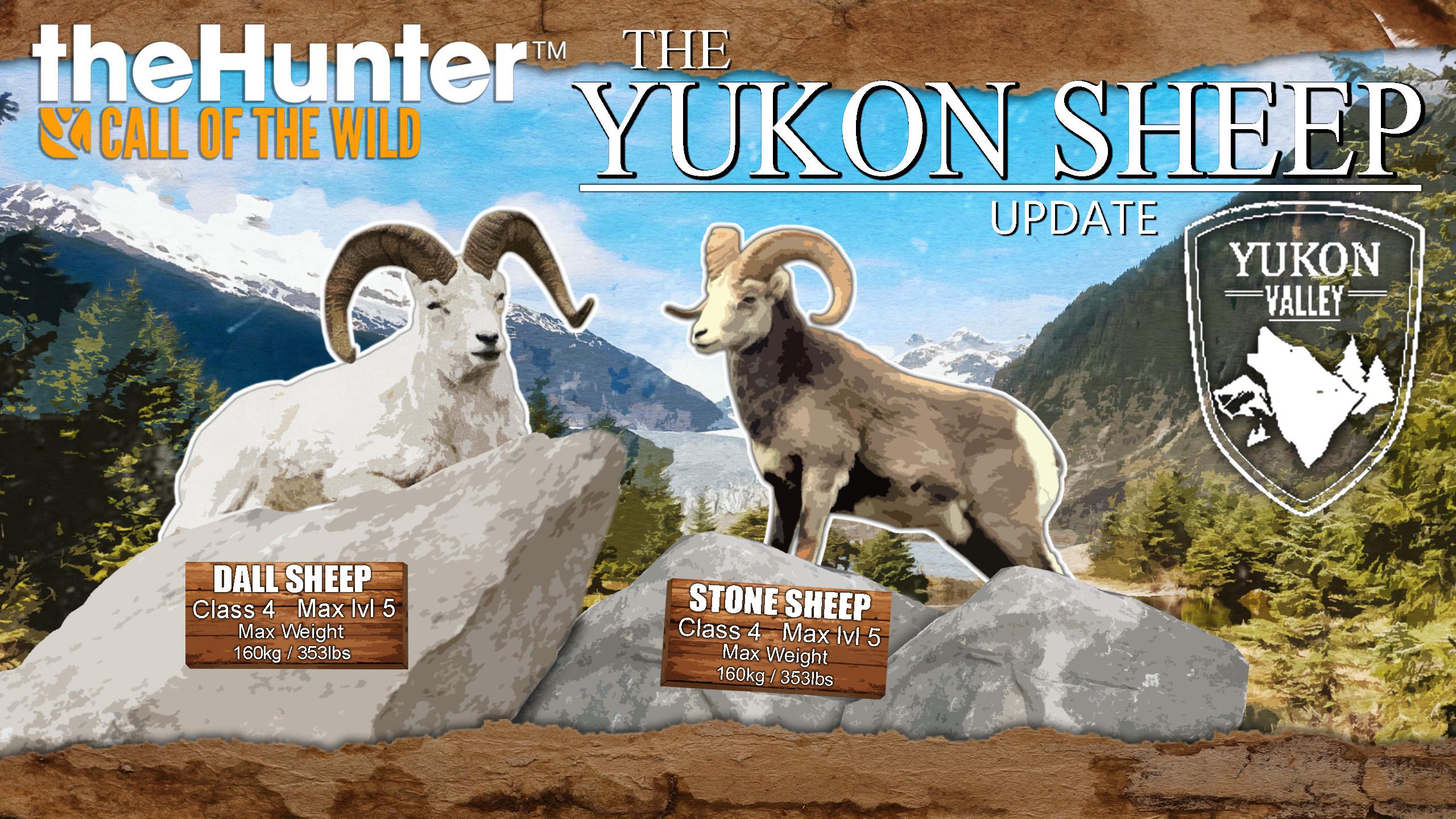 COTW Yukon Sheep Update New animal addition to Yukon valley. Which