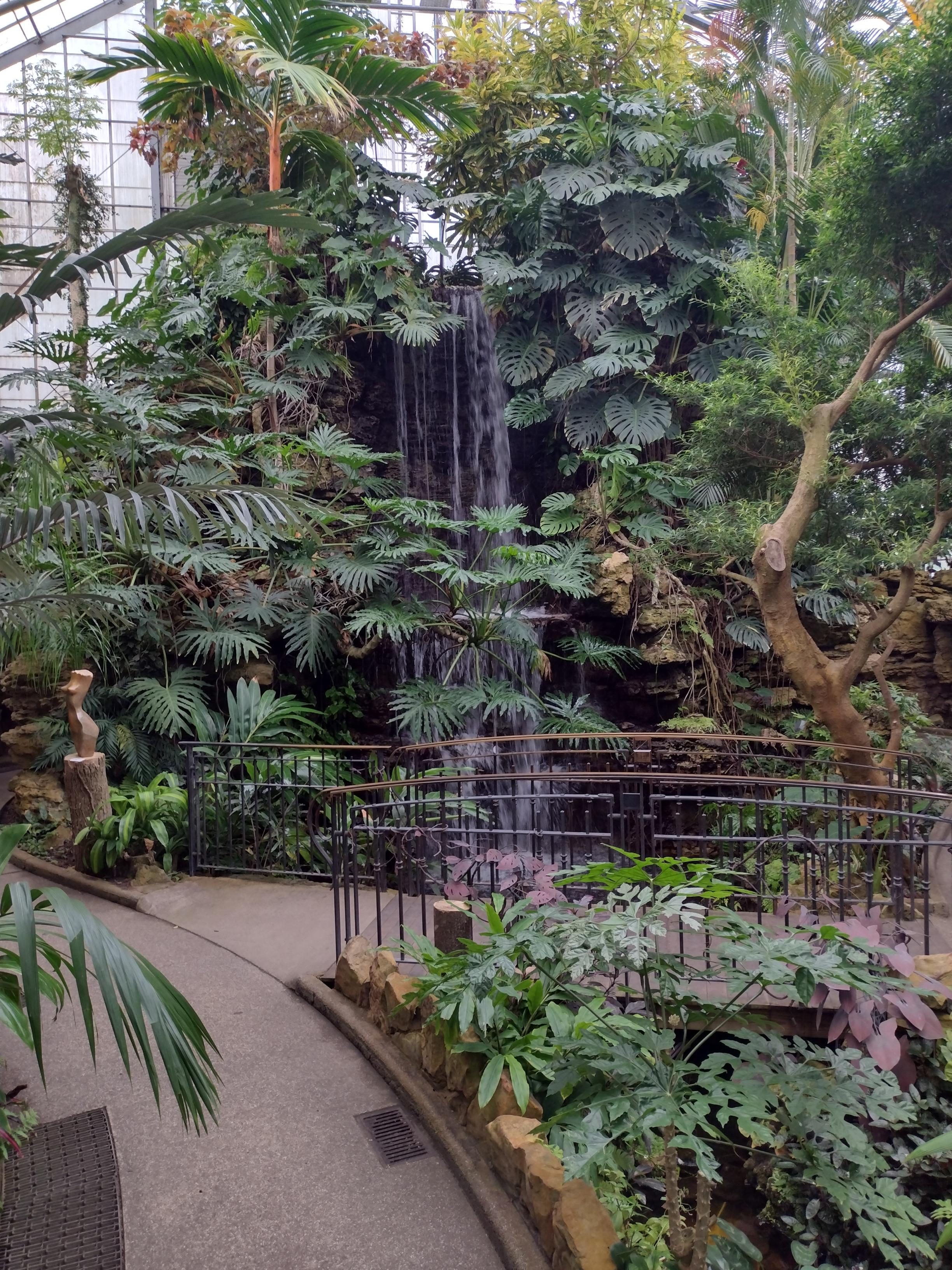 Krohn Conservatory r/houseplants