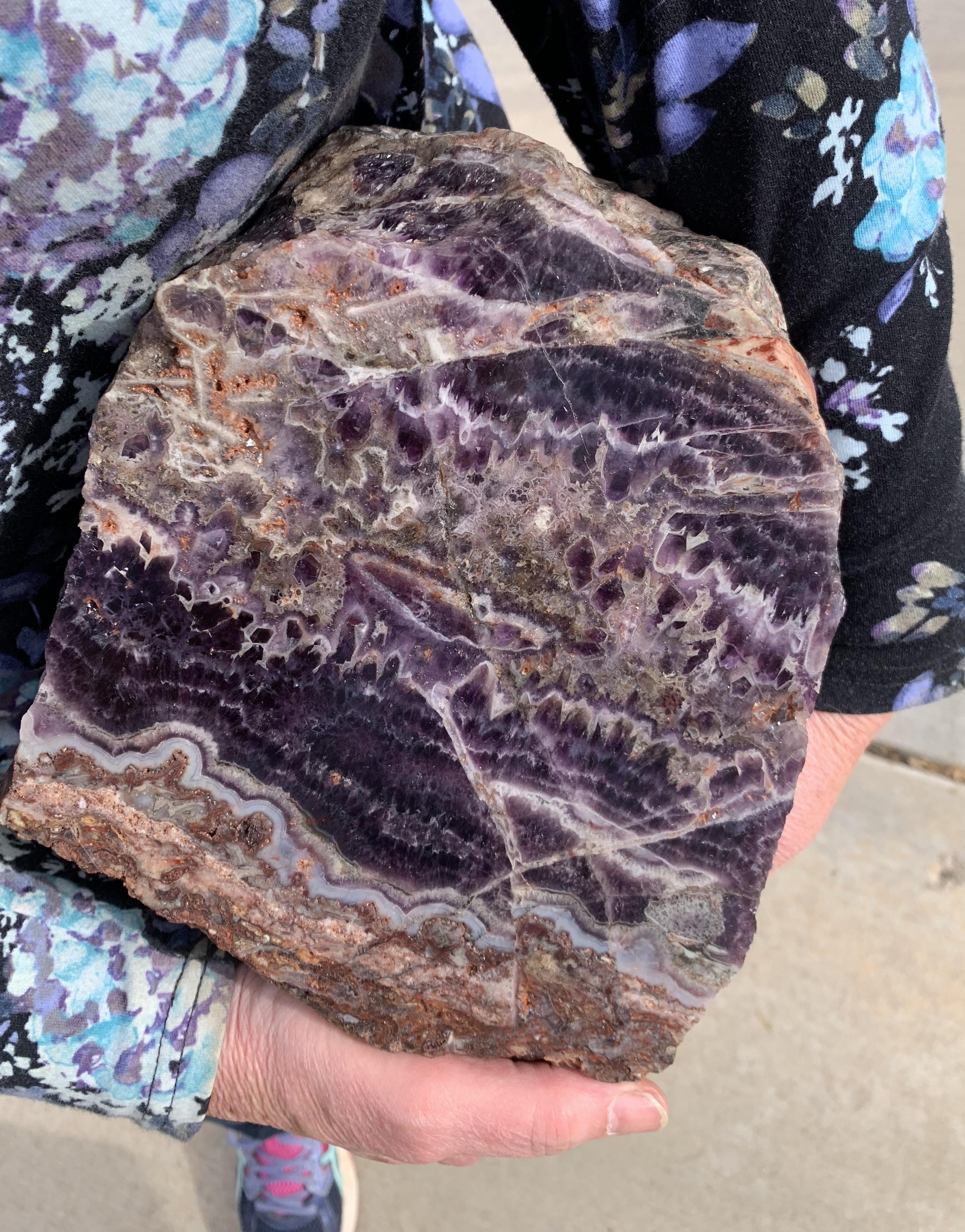 My prize find 25 lb banded amethyst from Tiger Mine, AZ r/rockhounds