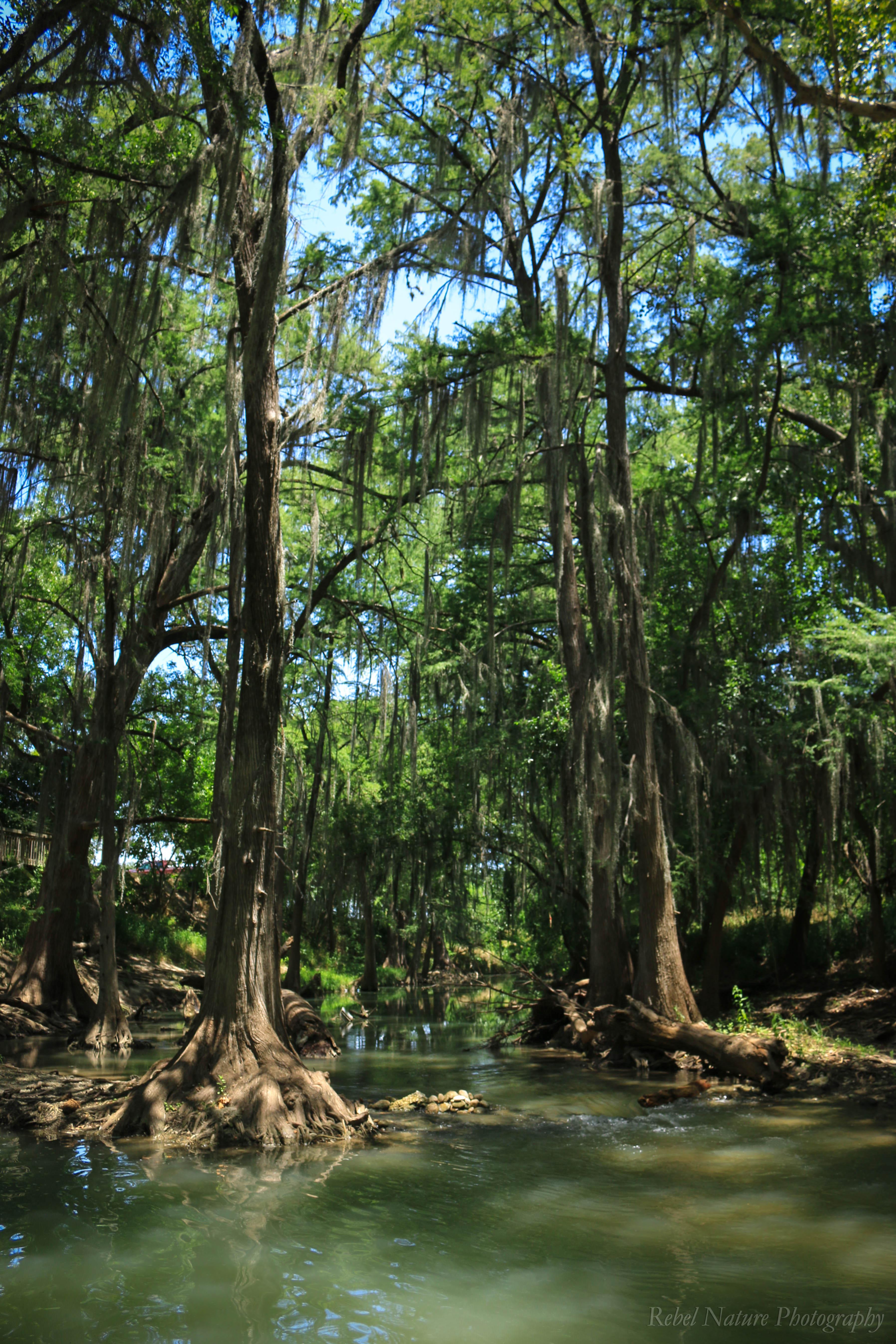 Medina River, Castroville r/texas