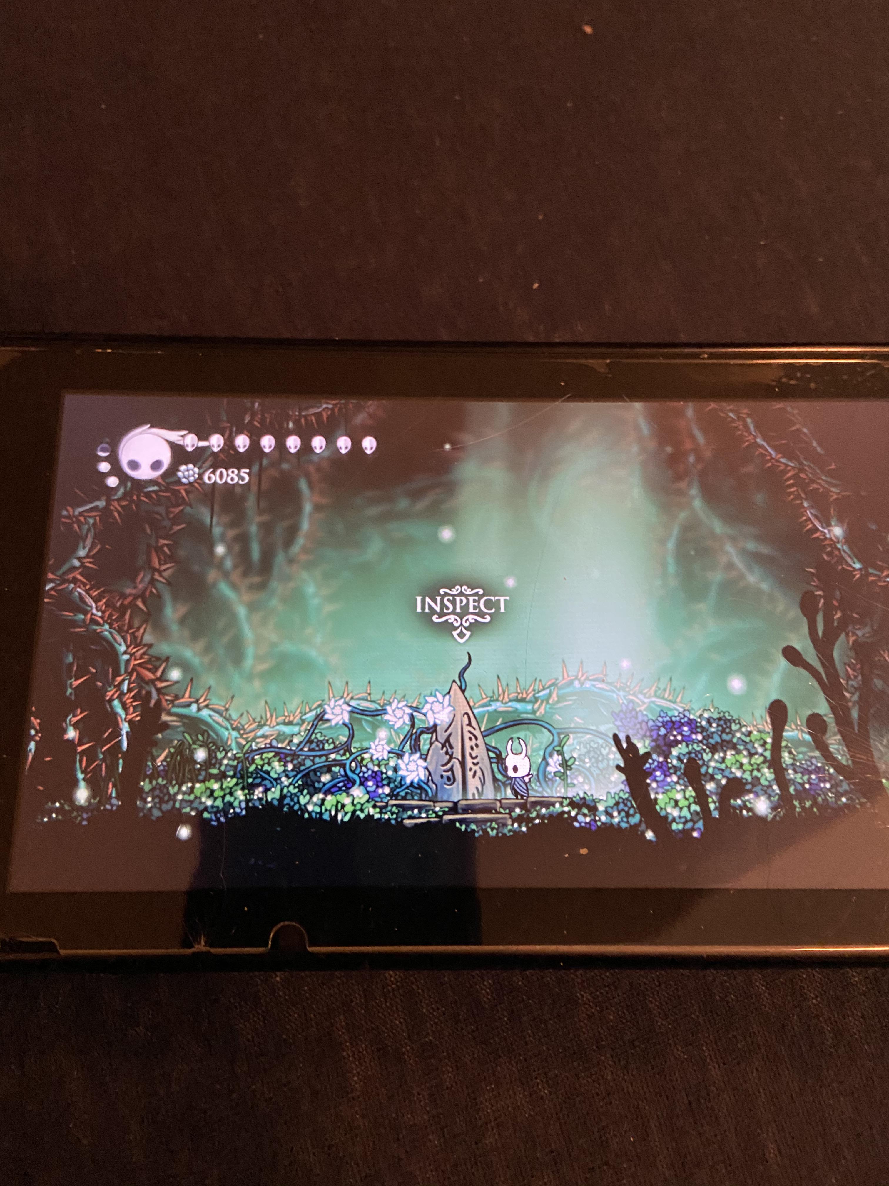 I BEAT THE DELICATE FLOWER QUEST!!!!!!!!!! r/HollowKnight