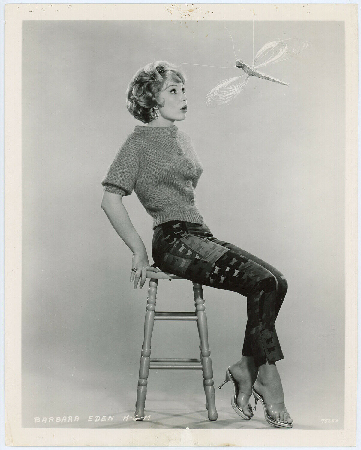 eden brothers Reddit post and comment search SocialGrep