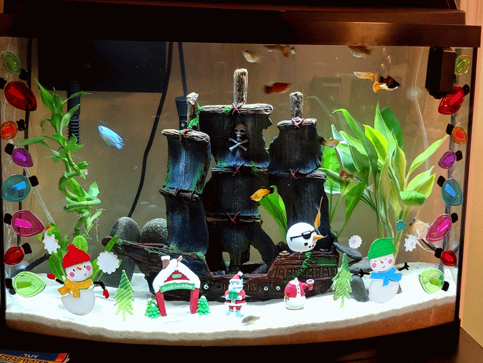 When you dont have children...holidays look like this. r/Aquariums
