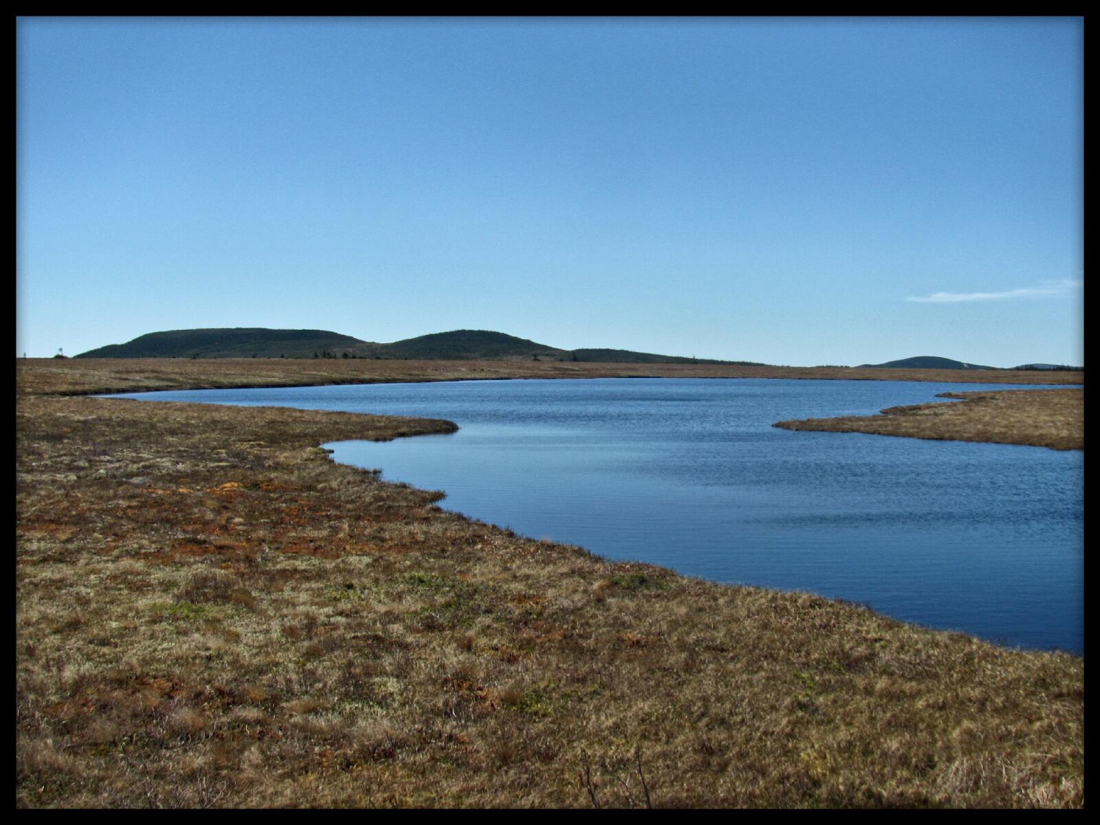 Cape Shore Side, St.Mary's Bay newfoundland