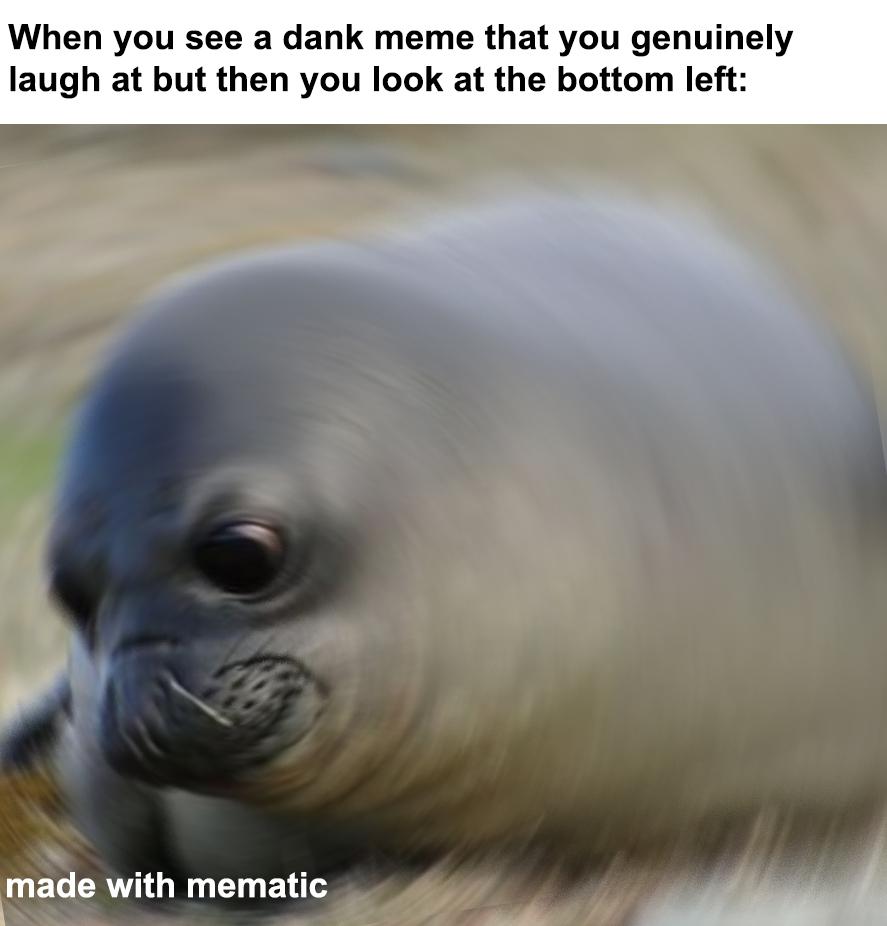We need more seal memes r/dankmemes