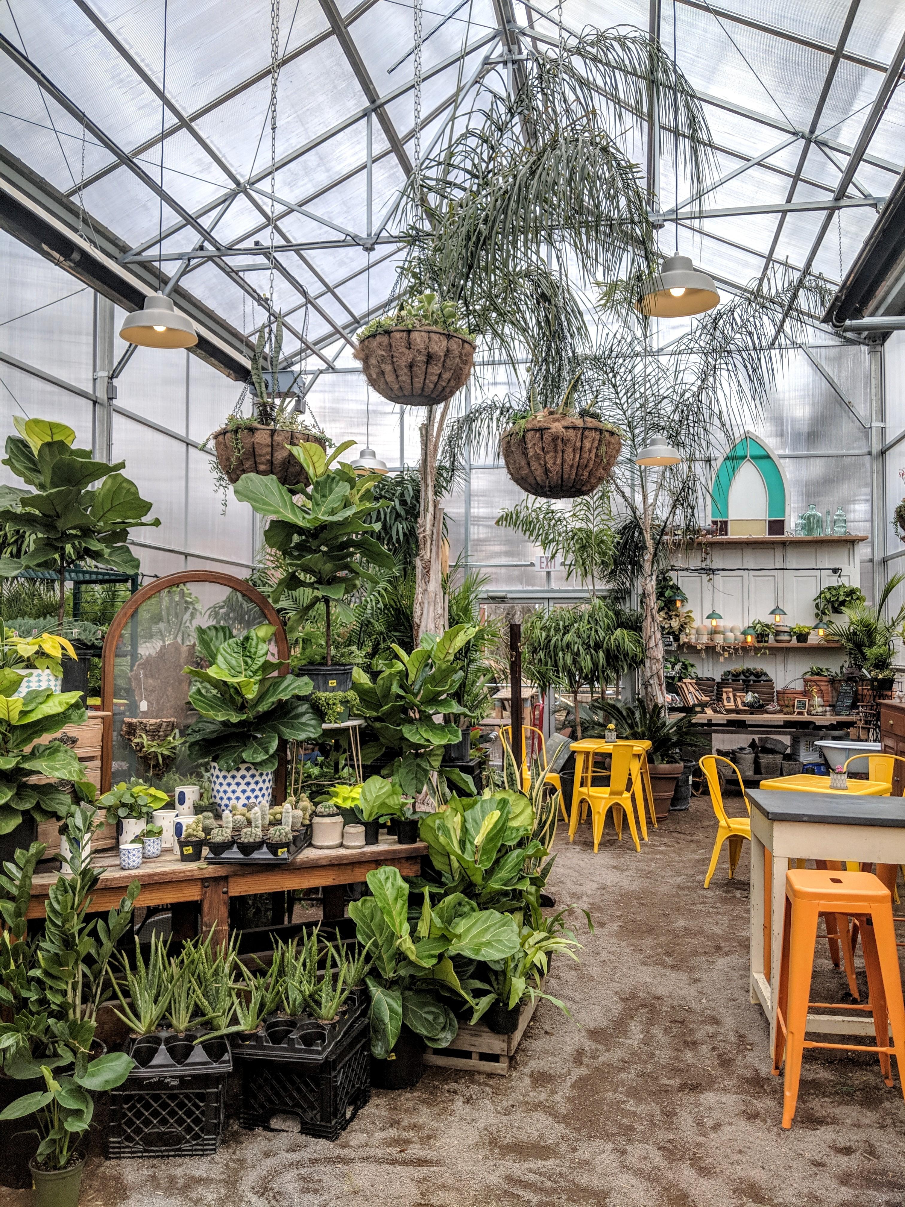 Maypop Coffee and Garden shop in St. Louis