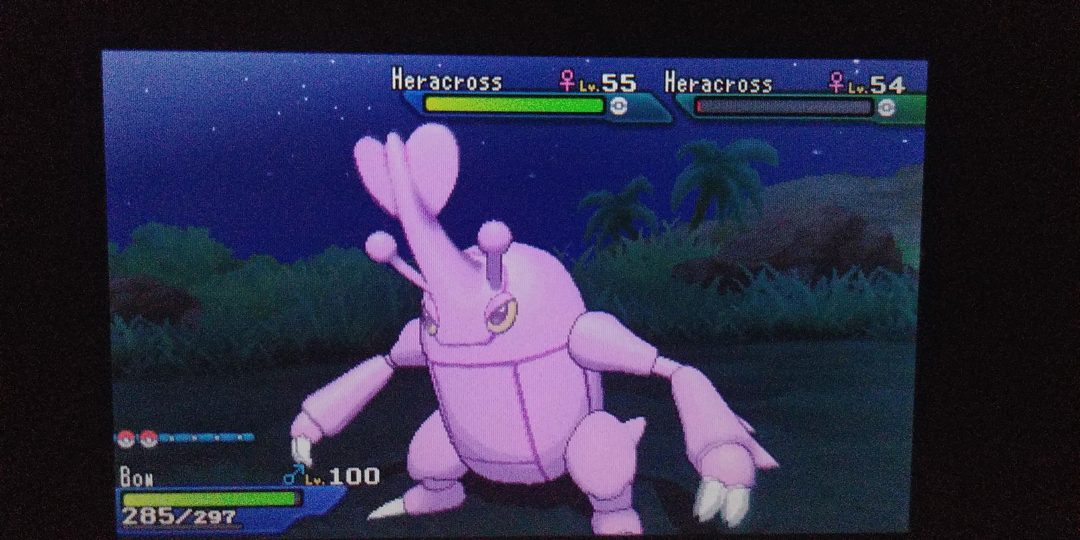 [7] 3rd Shiny Bug with a call rate of 3! This angry pink beetle