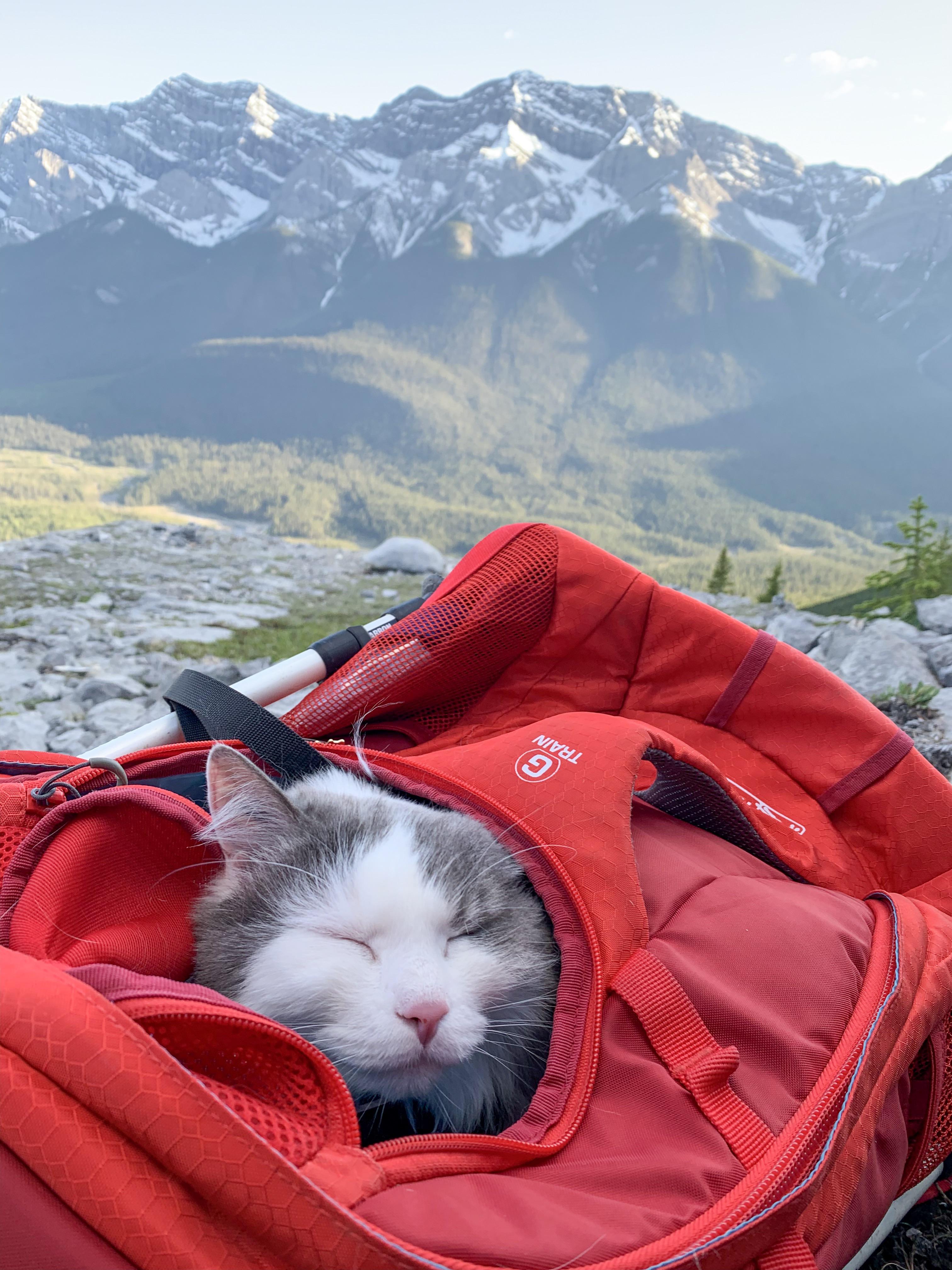 Adventuring can be tiring. That’s why the most important part is to