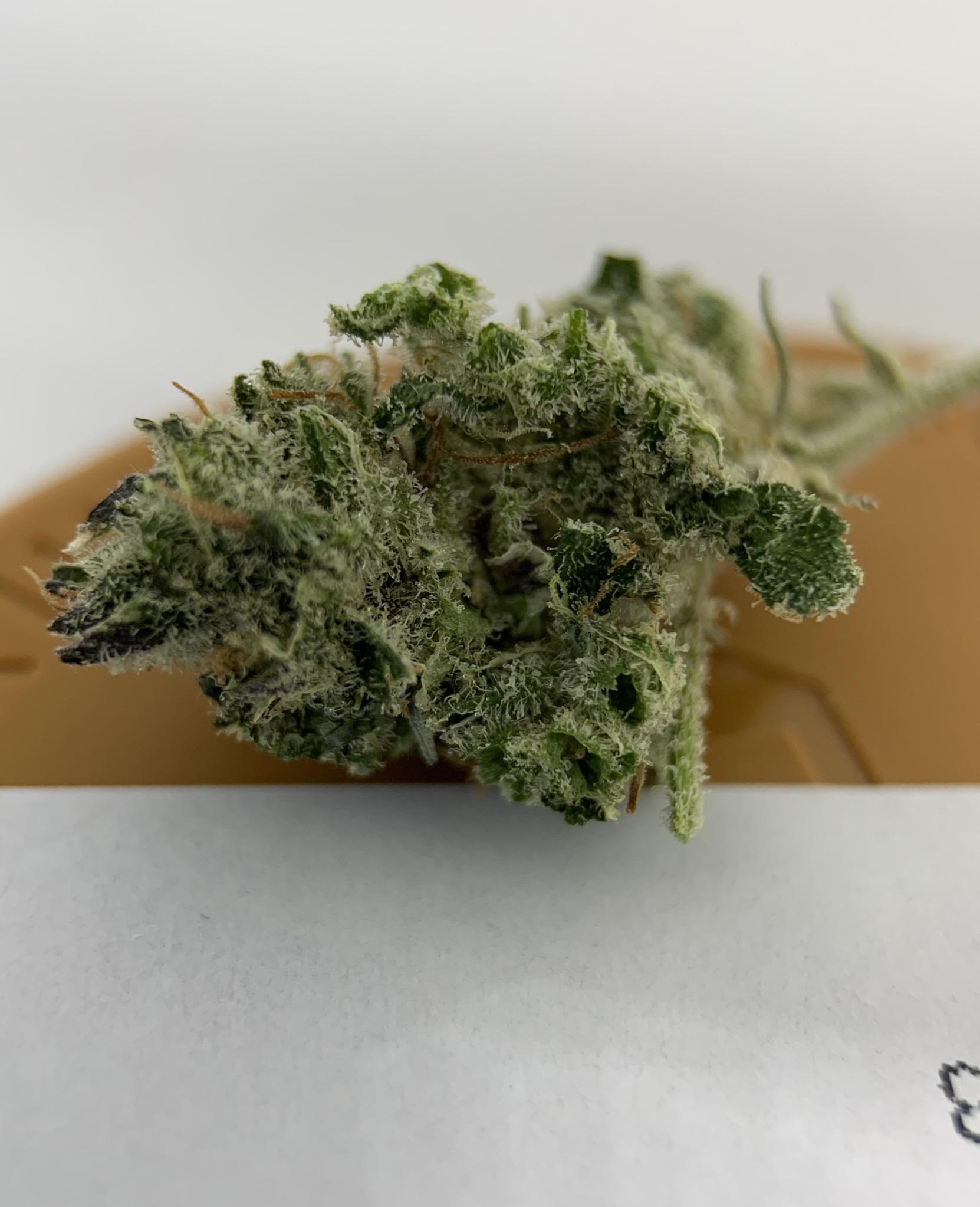 Terrapin Elphaba’s bliss (mediocre gram) r/PaMedicalMarijuana