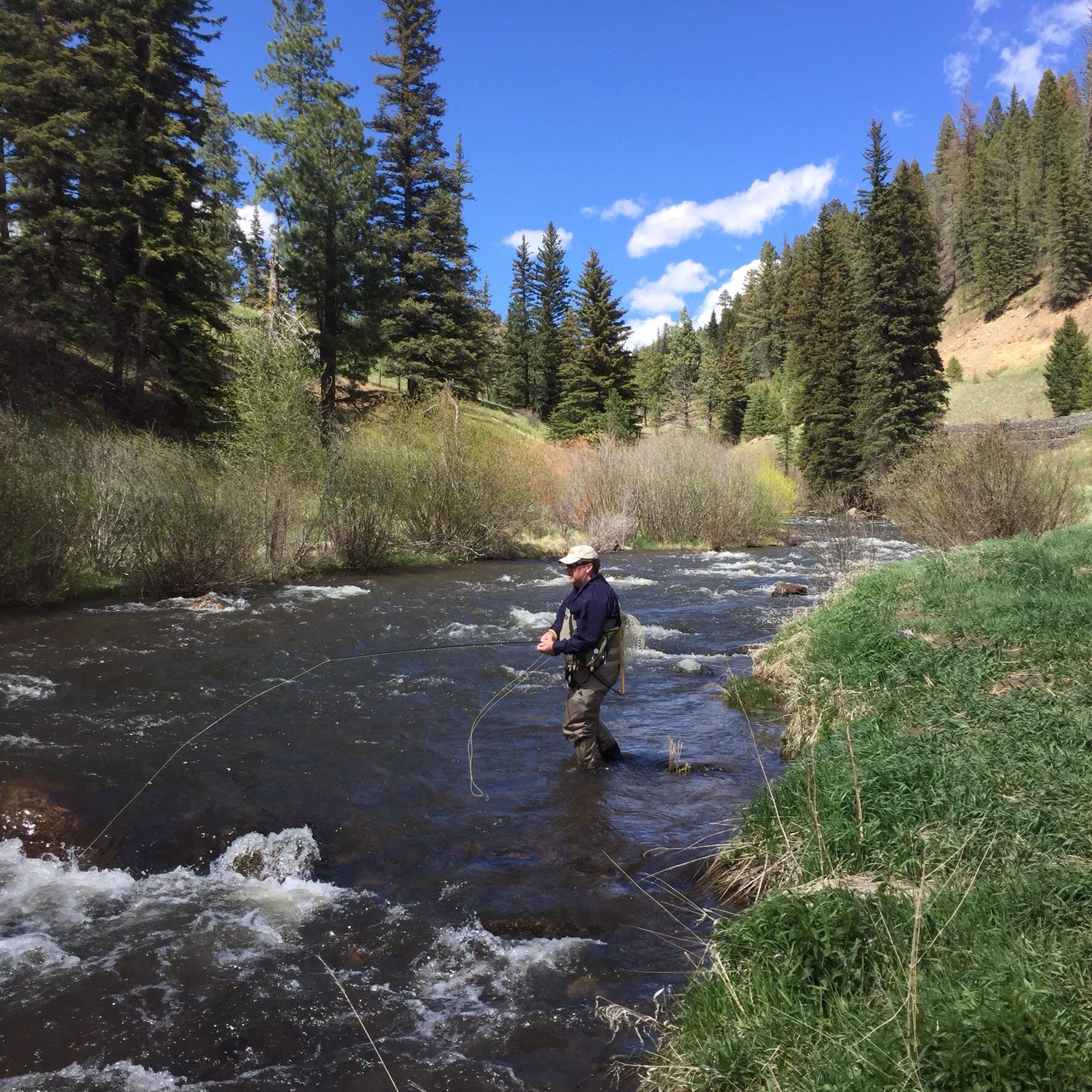 day fly fishing in Tererro, New Mexico. r/Outdoors