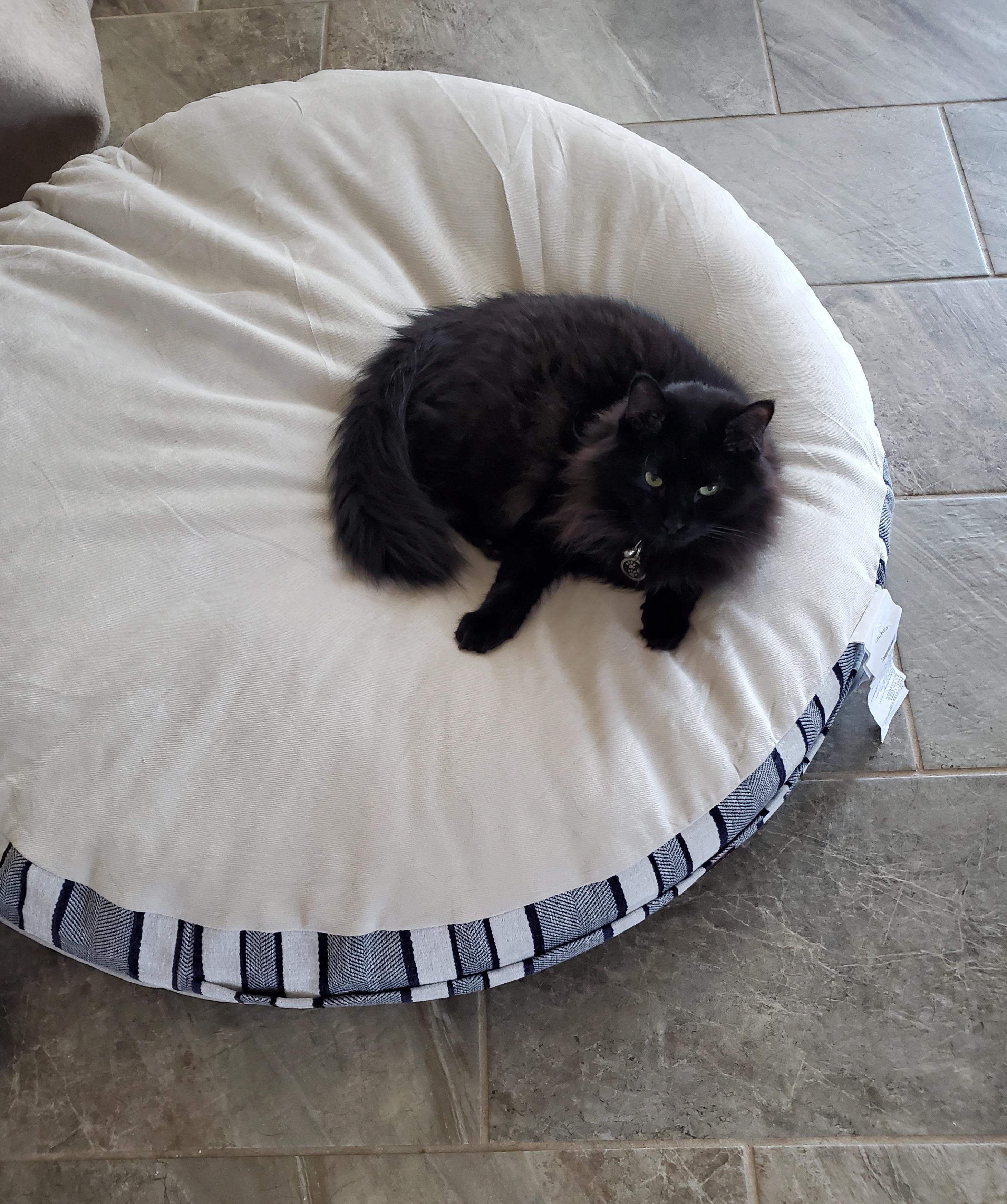 Home from Costco for five minutes, and he stole his brother's brand new