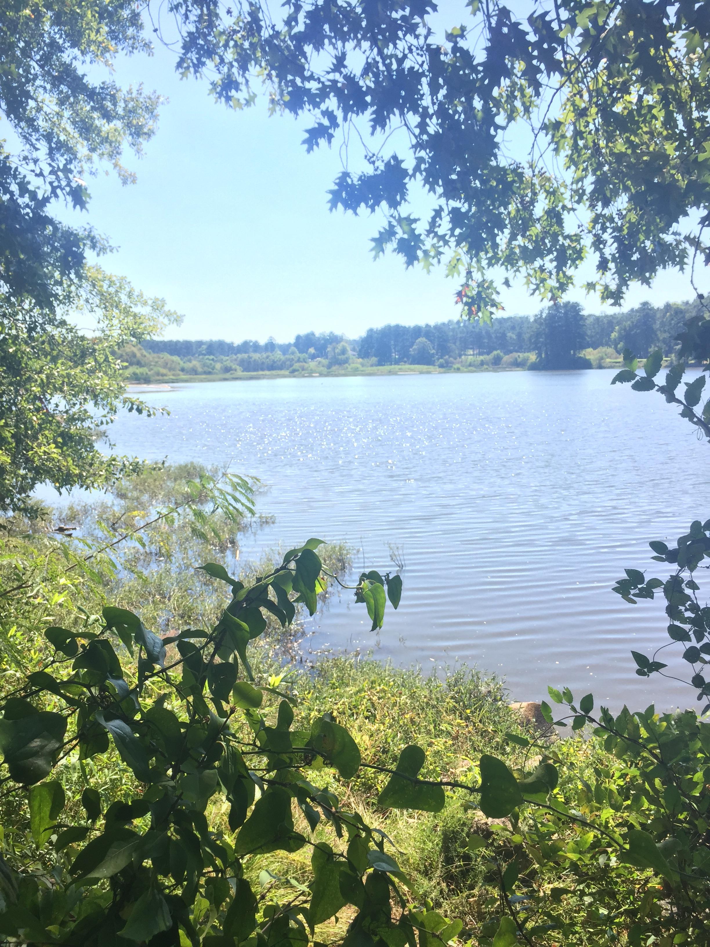 OC.Lake Acworth. Acworth GA, USA.[3264x2448] r/EarthPorn