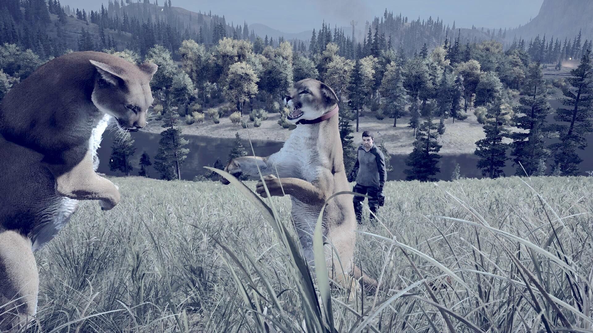 I never really tried the companion animals in far cry primal but I’m